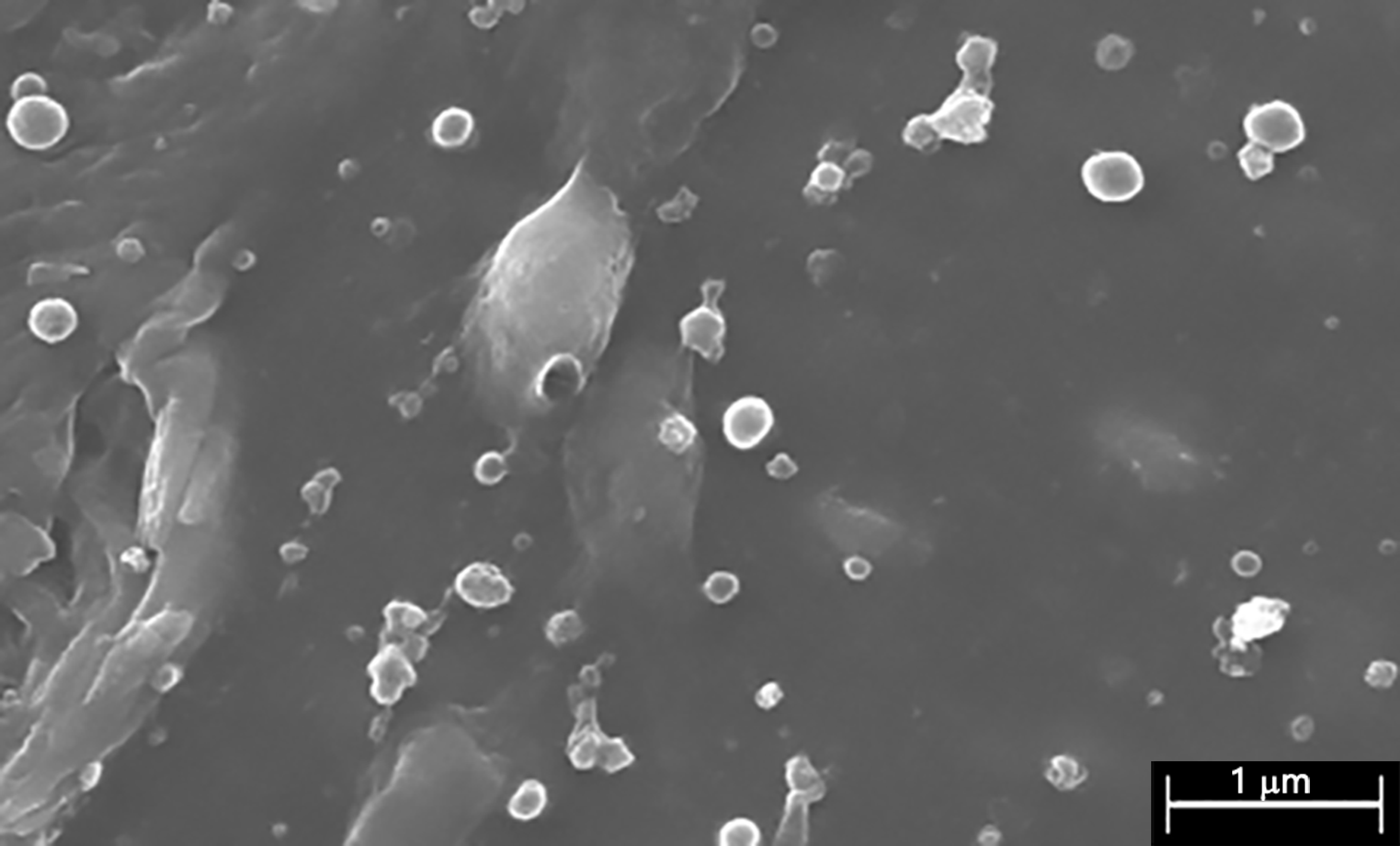 Polymers 12 01829 g001 Polymers 12 01829 g001