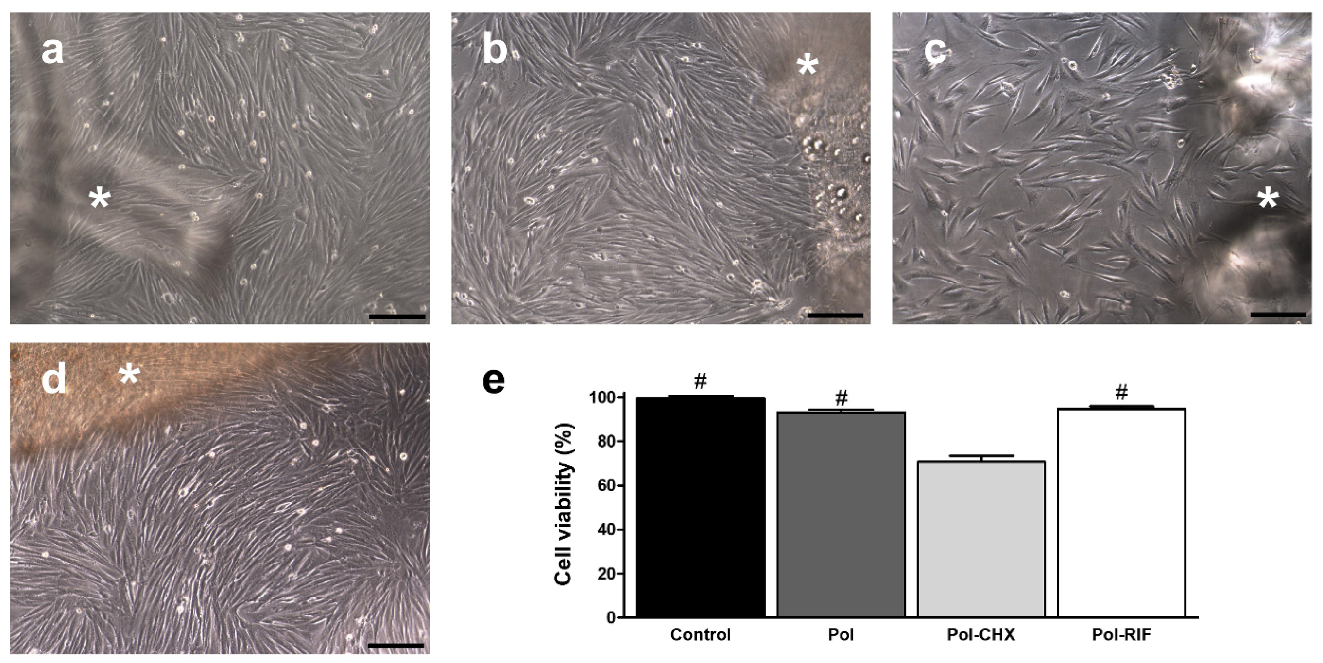 Polymers 12 01829 g004 Polymers 12 01829 g004