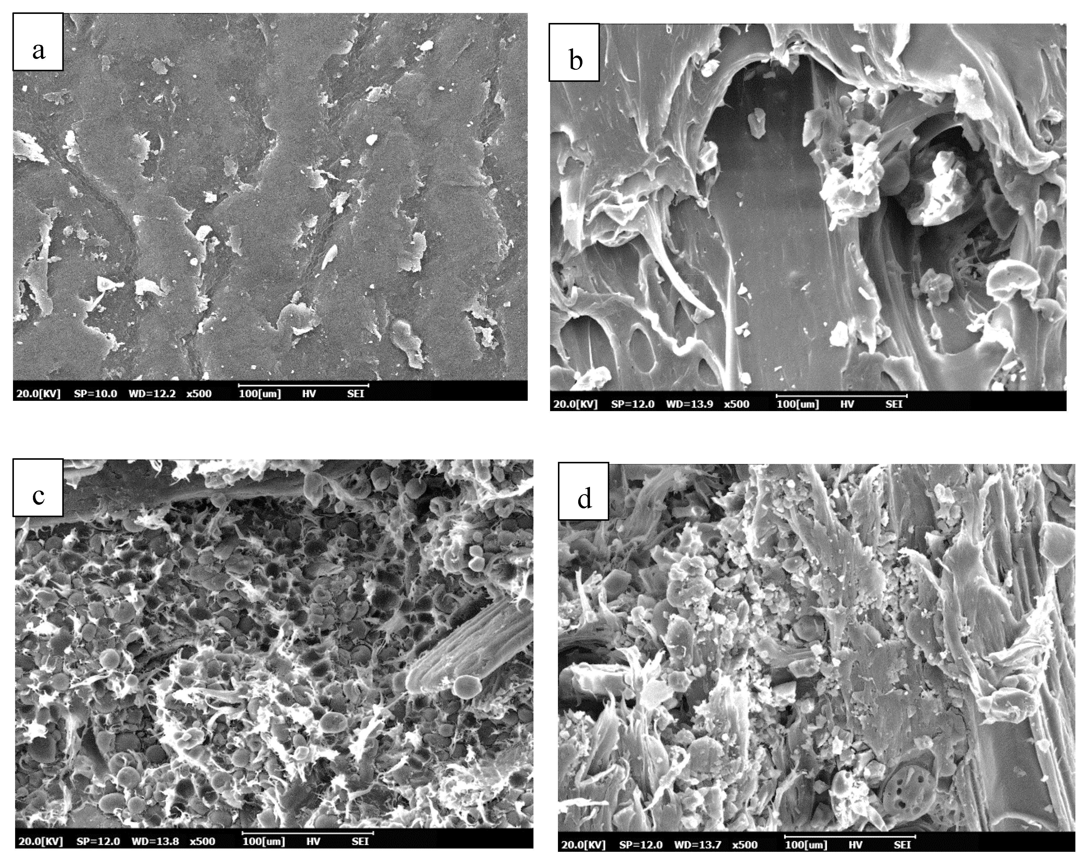 Polymers 12 01833 g005 Polymers 12 01833 g005