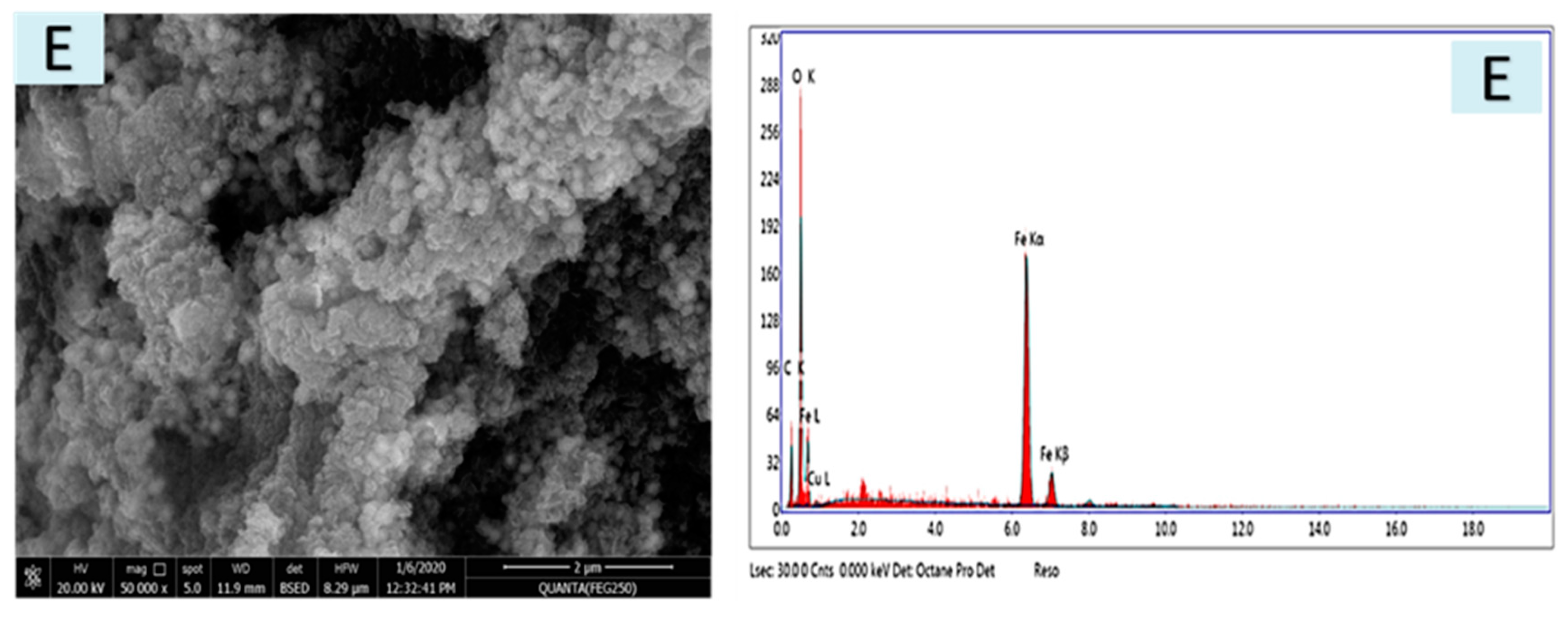 Polymers 12 01834 g003b Polymers 12 01834 g003b