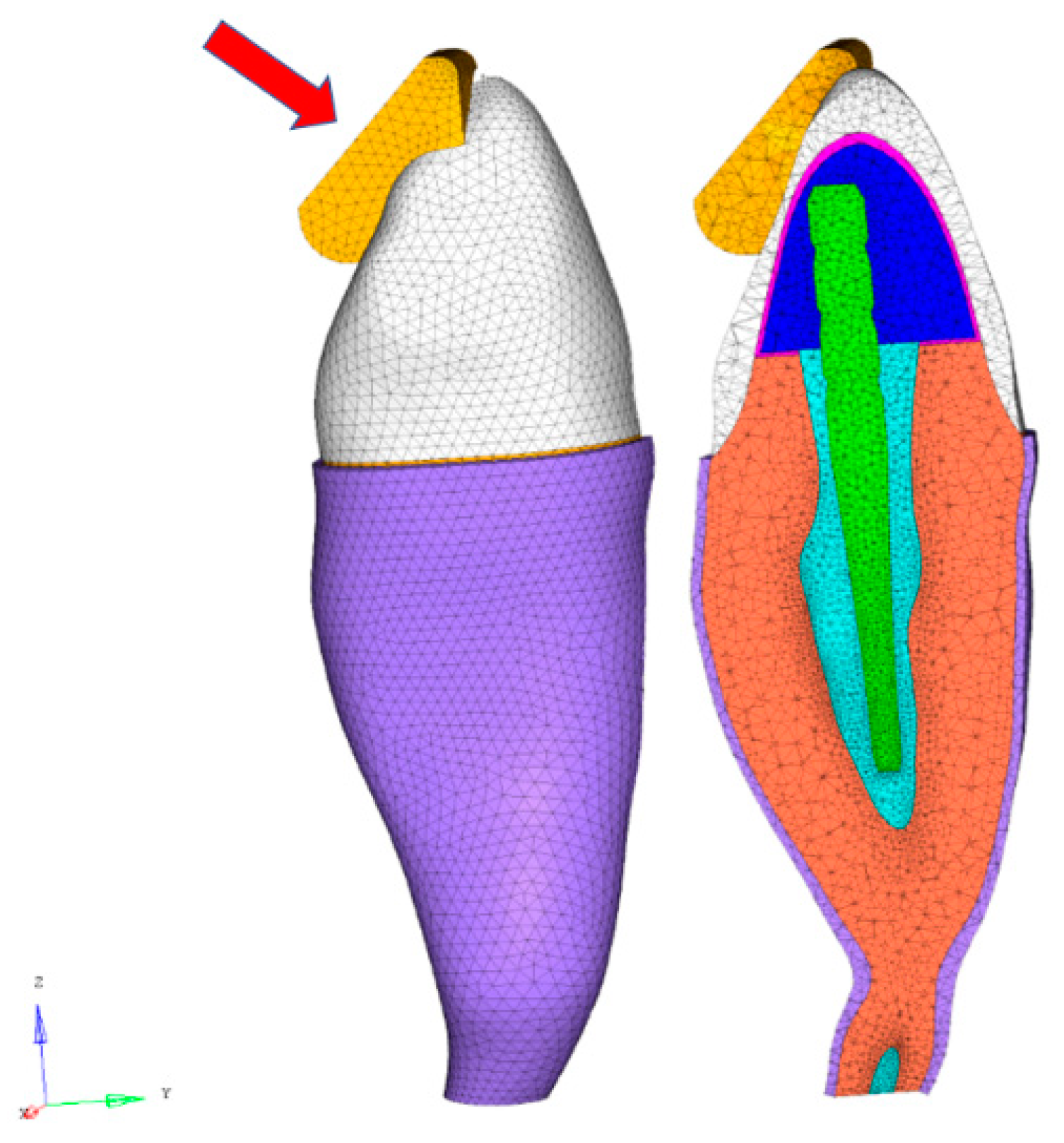 Polymers 12 01836 g001