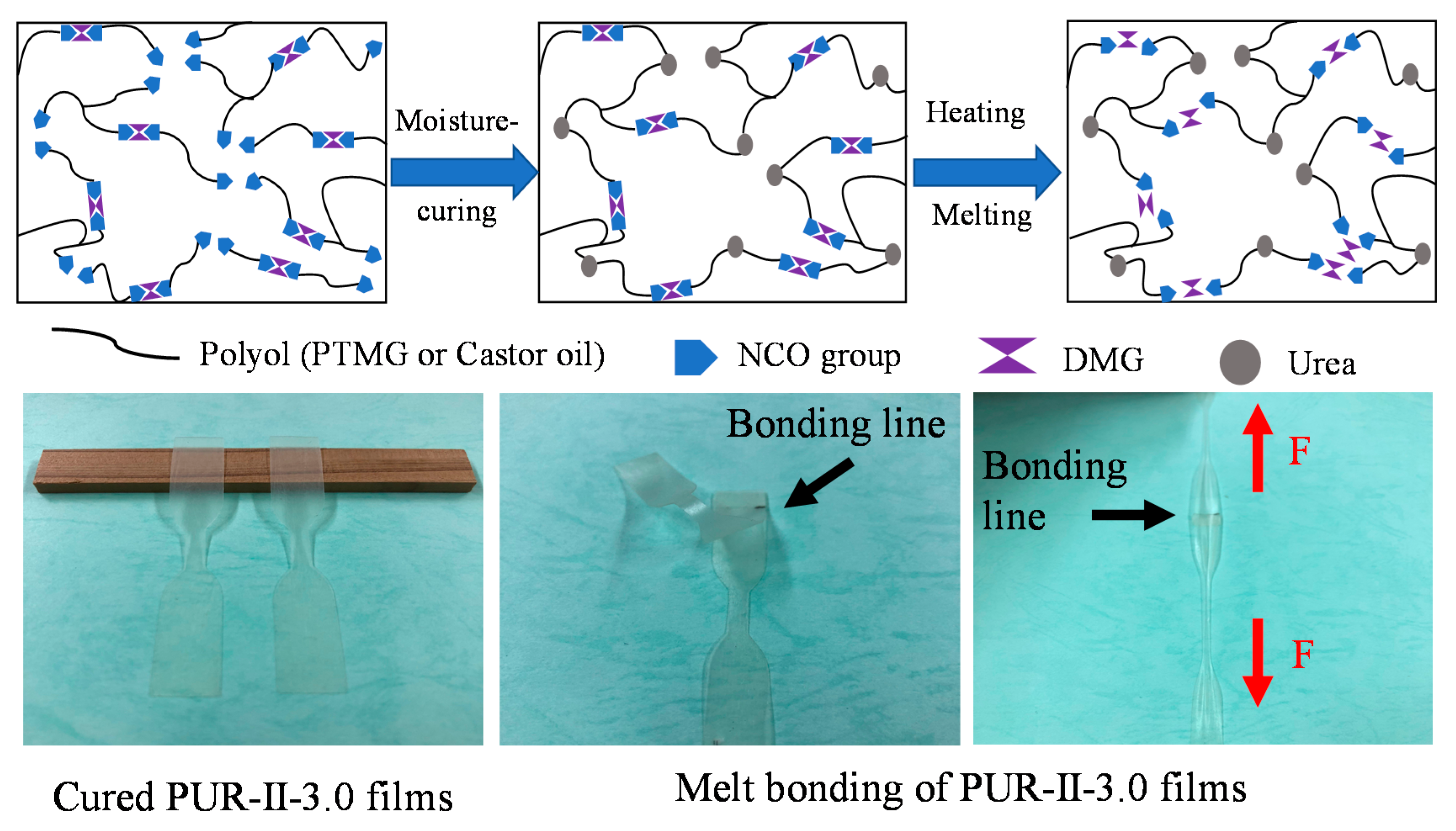 Polymers 12 01838 g002