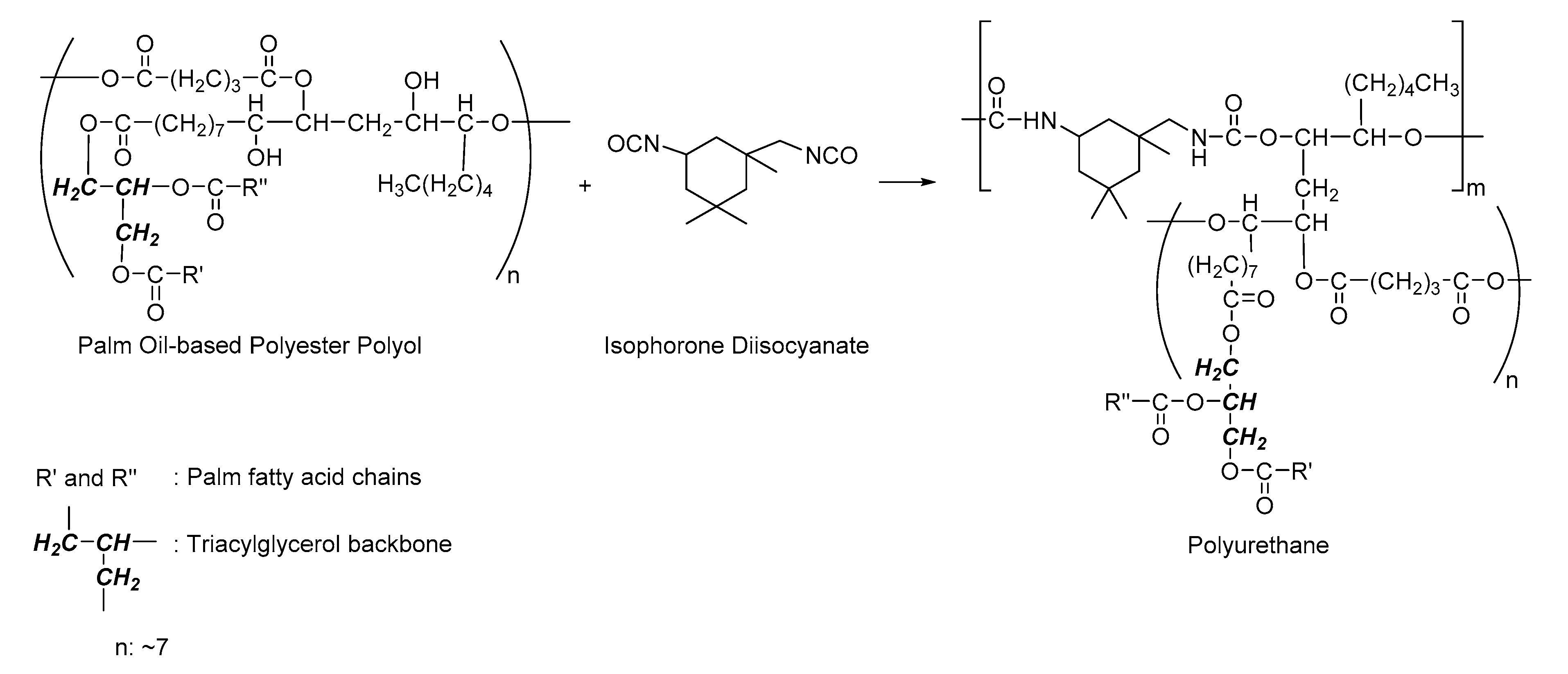 Polymers 12 01842 g001