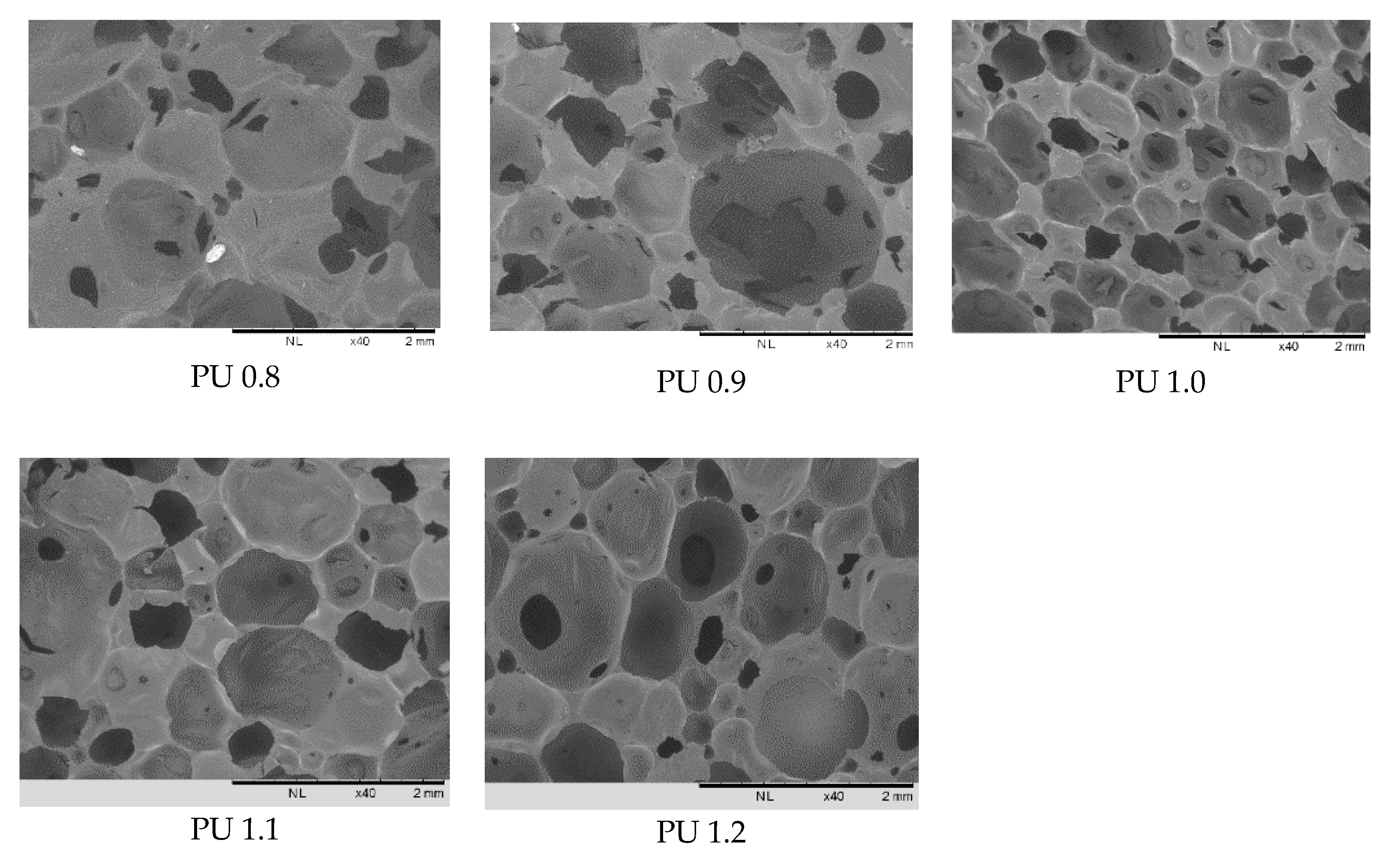 Polymers 12 01842 g004
