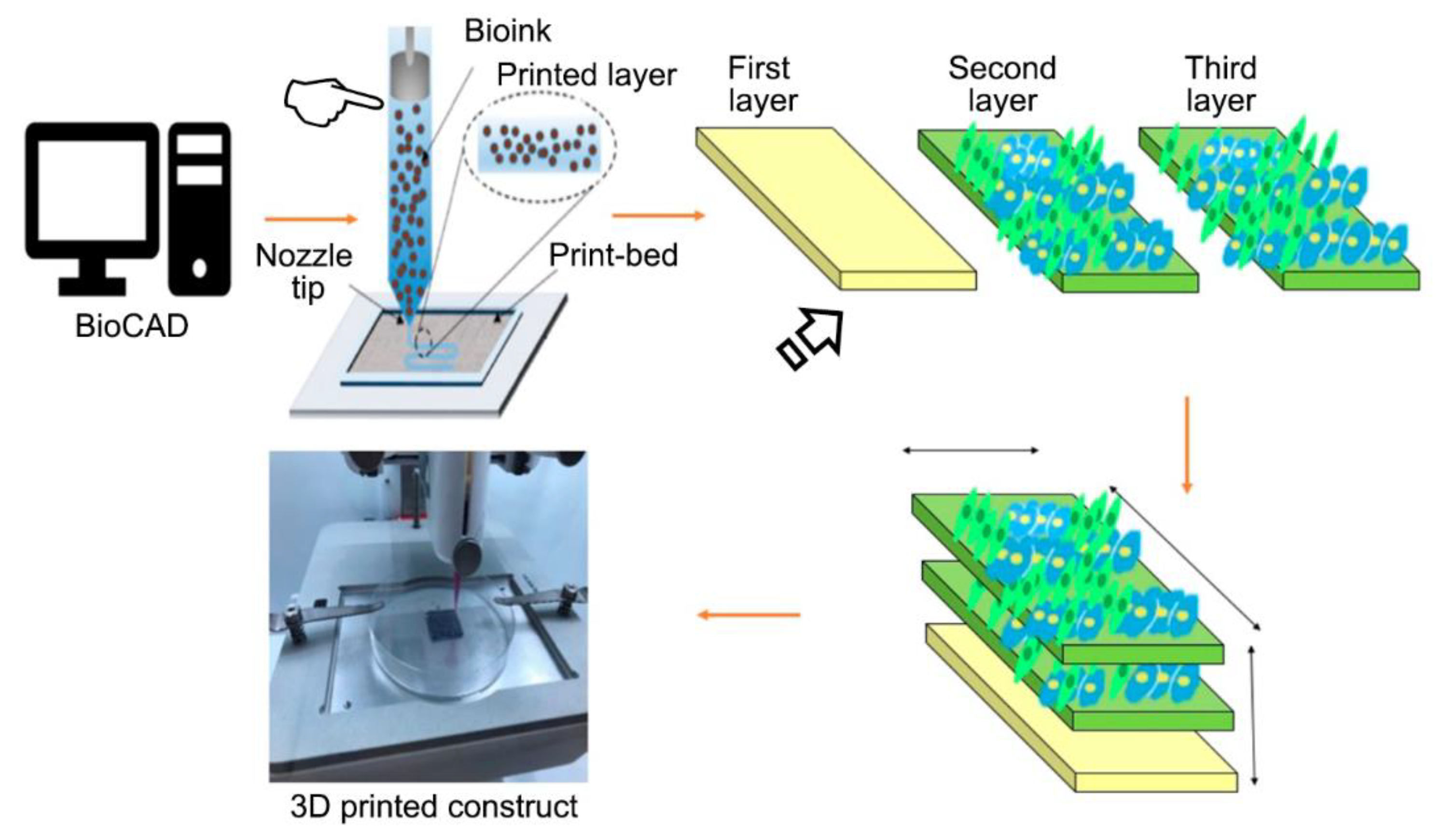 Polymers 12 01845 g002 Polymers 12 01845 g002