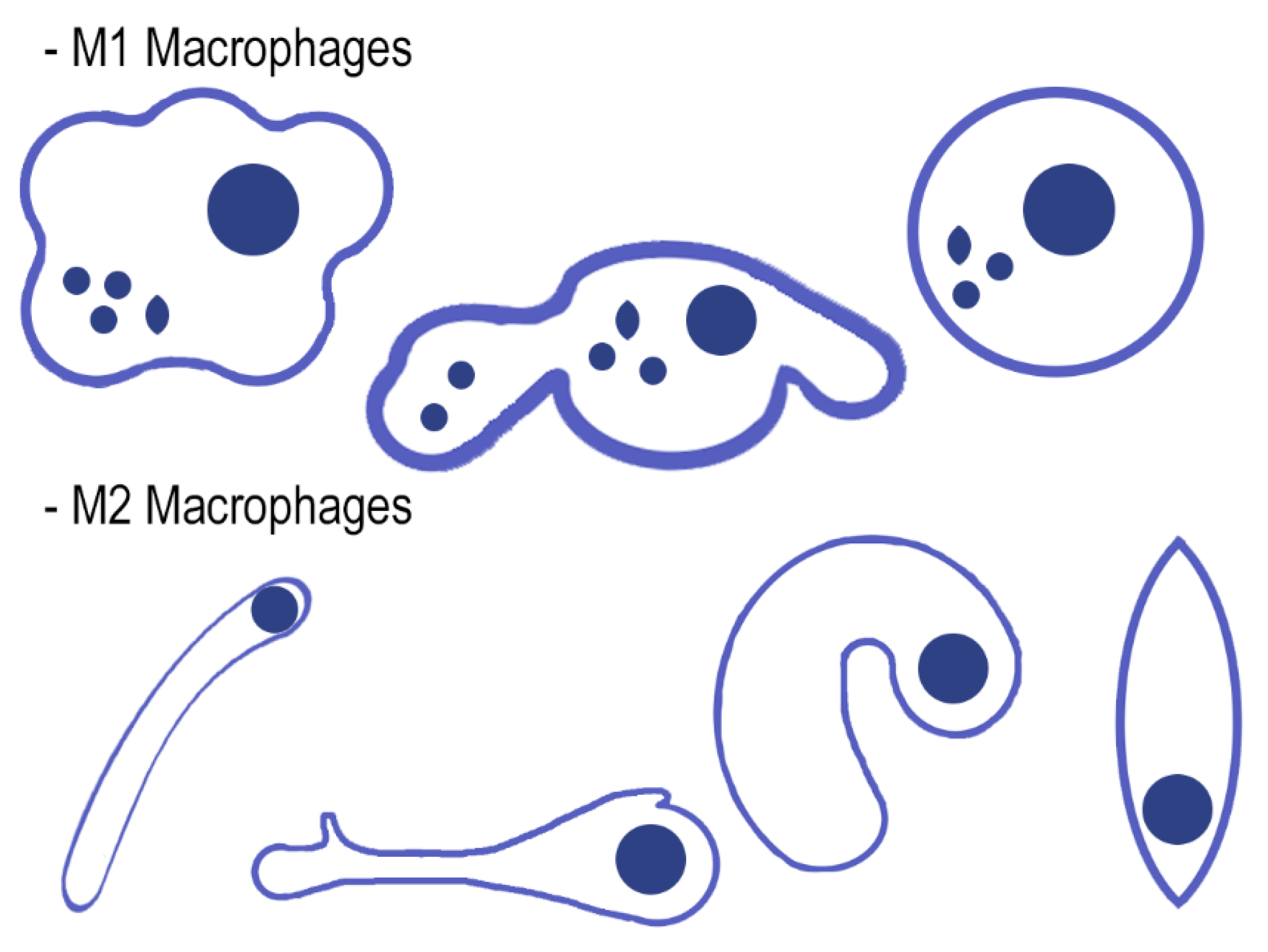 Polymers 12 01845 g004 Polymers 12 01845 g004