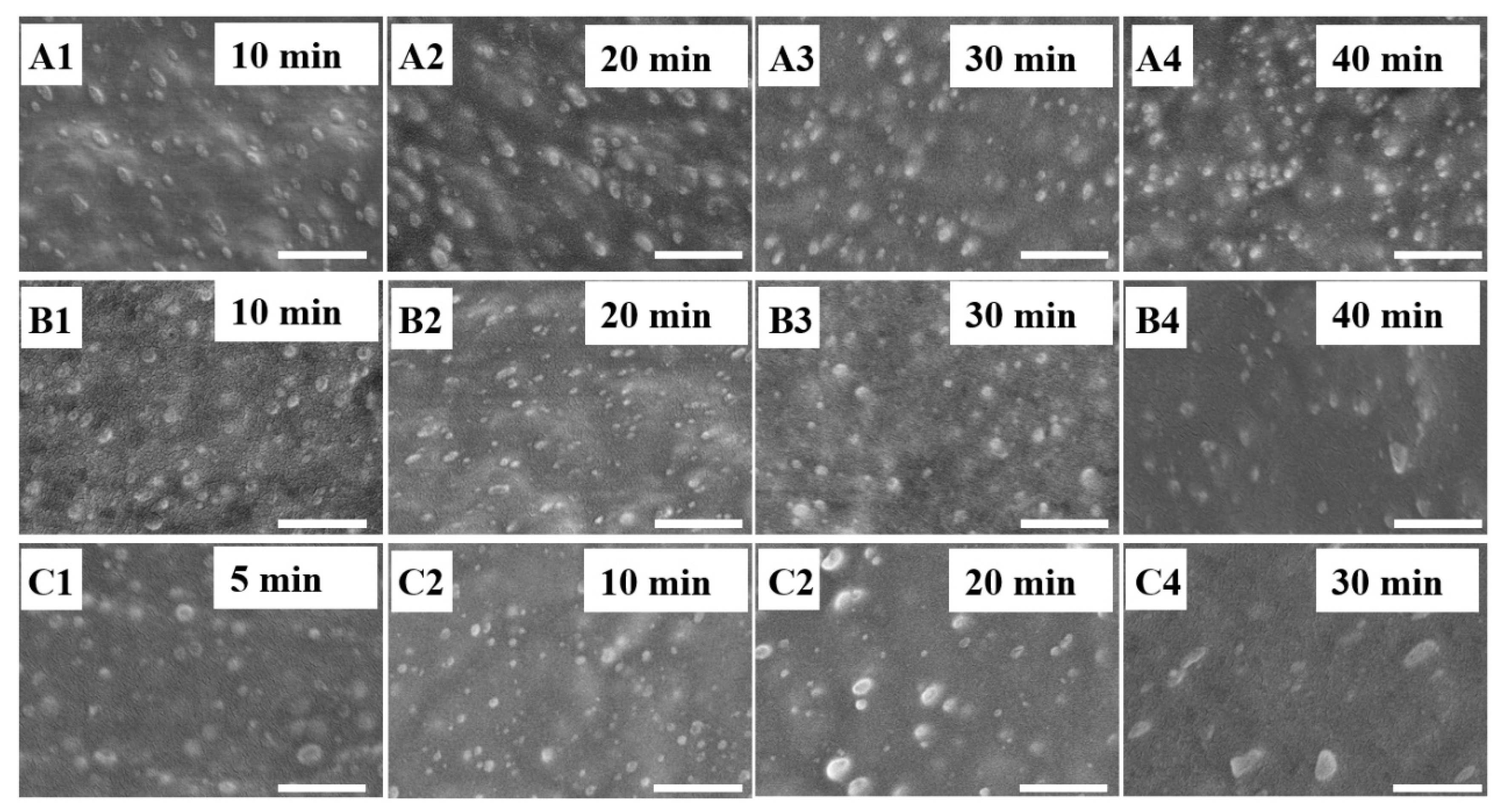 Polymers 12 01846 g003 Polymers 12 01846 g003