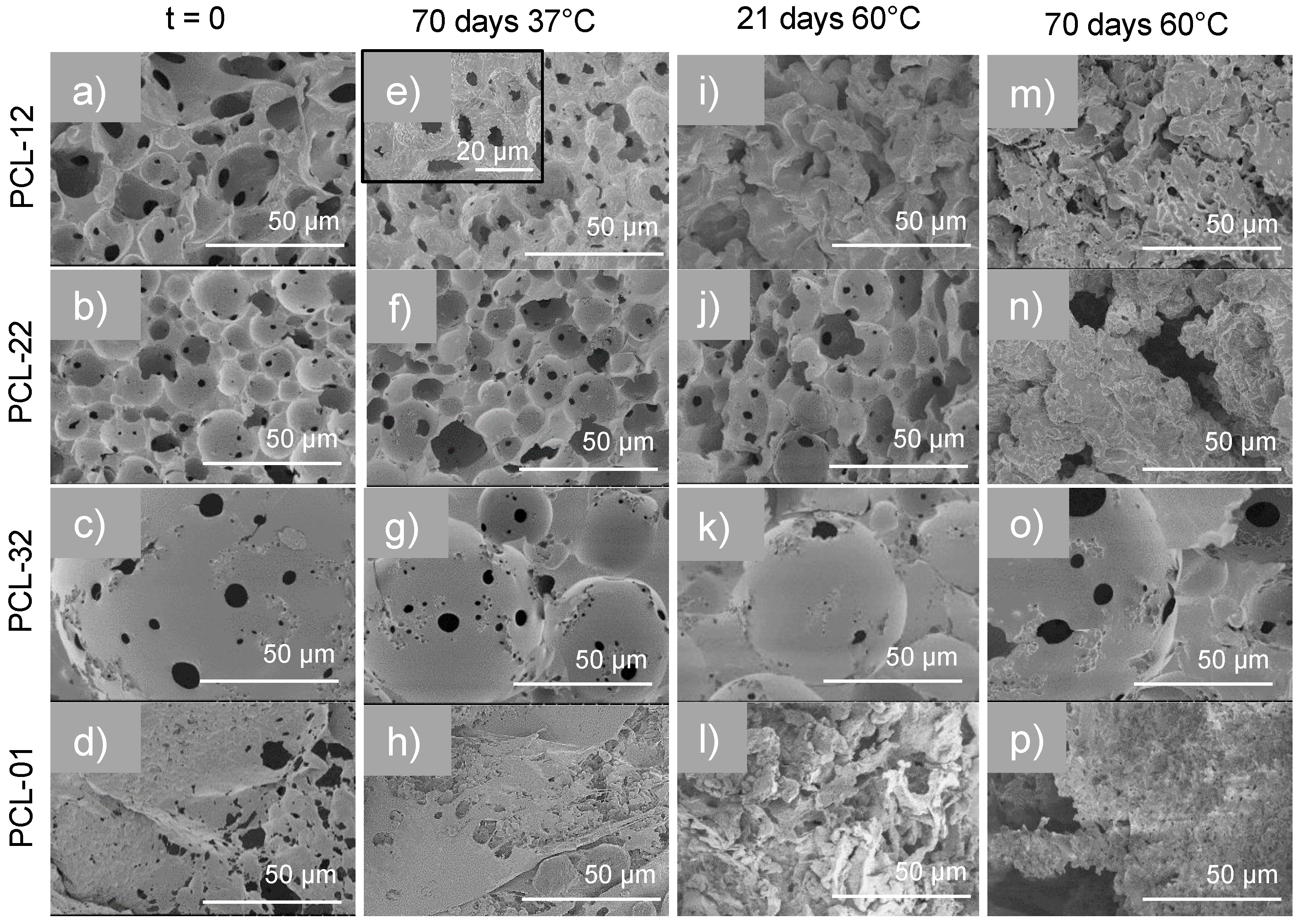 Polymers 12 01849 g004 Polymers 12 01849 g004