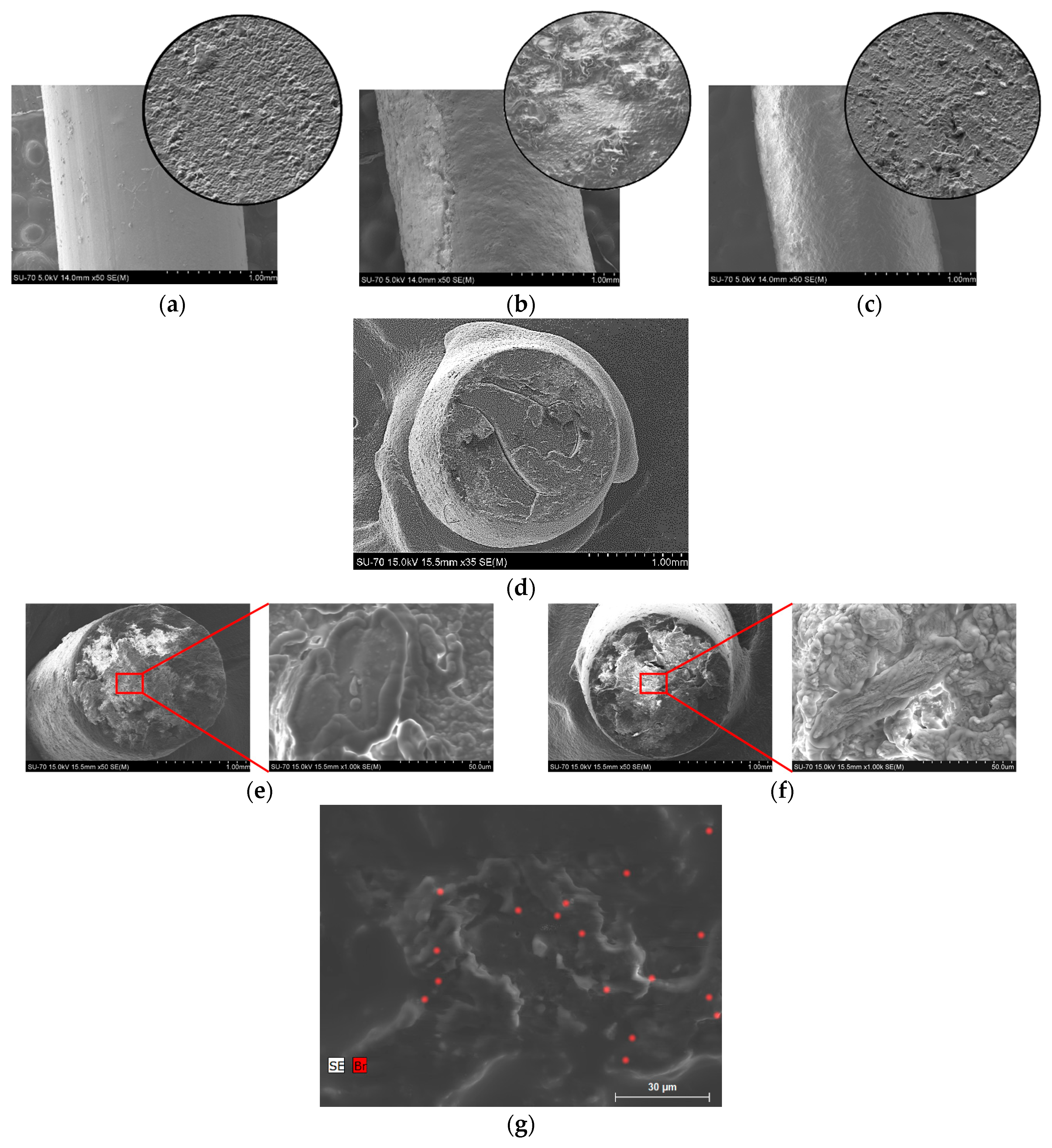Polymers 12 01867 g005 Polymers 12 01867 g005