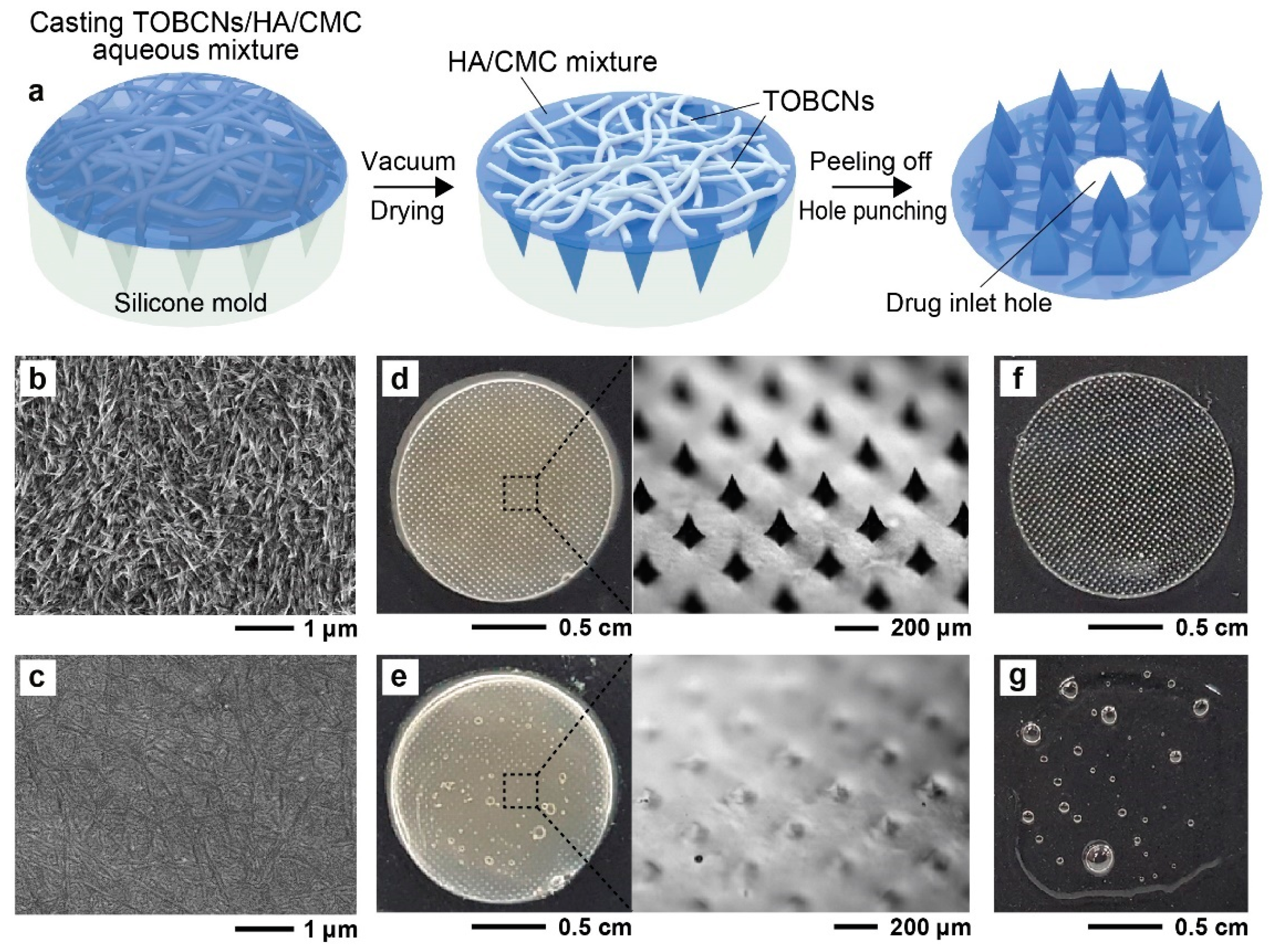 Polymers 12 01873 g002 Polymers 12 01873 g002