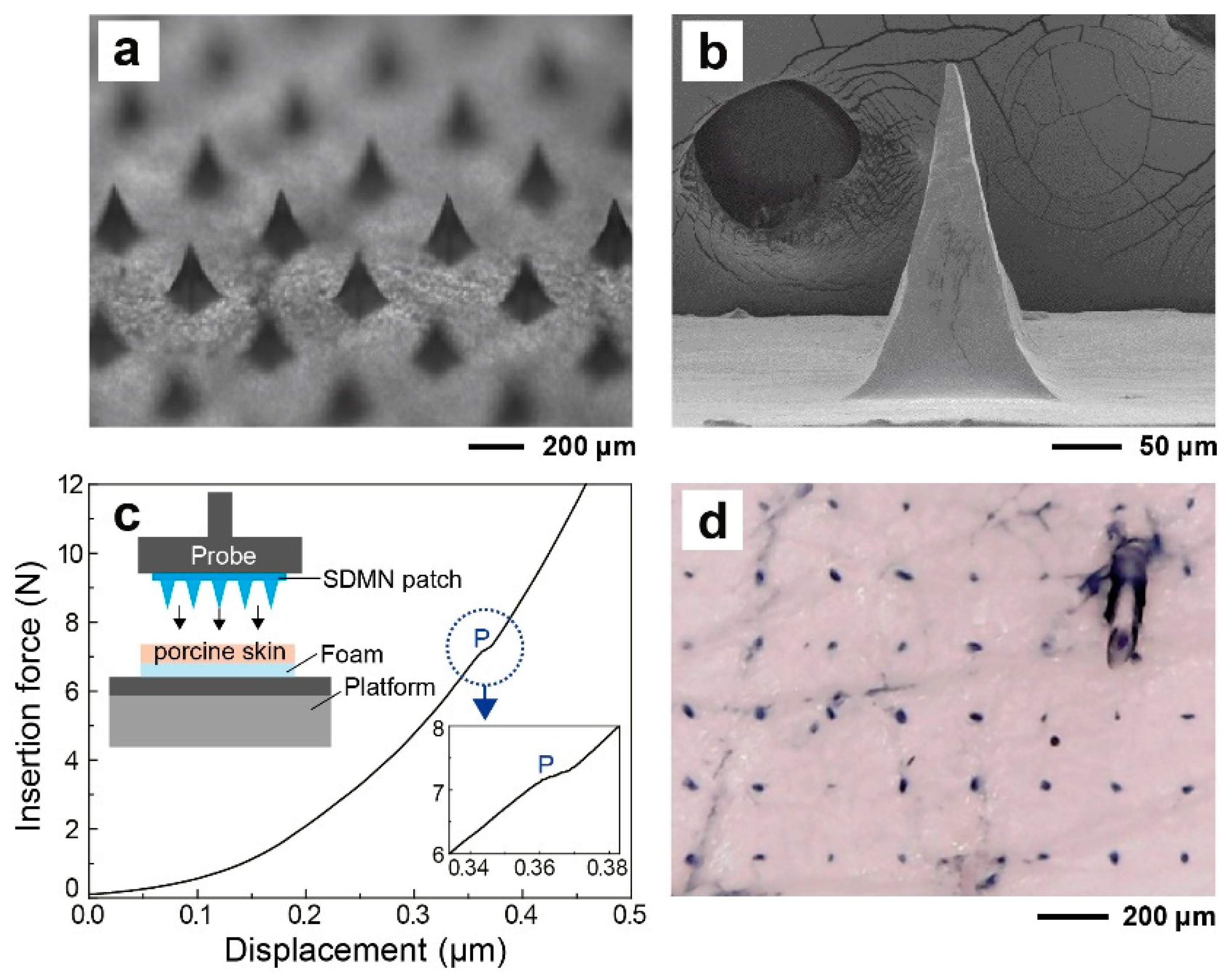 Polymers 12 01873 g003 Polymers 12 01873 g003