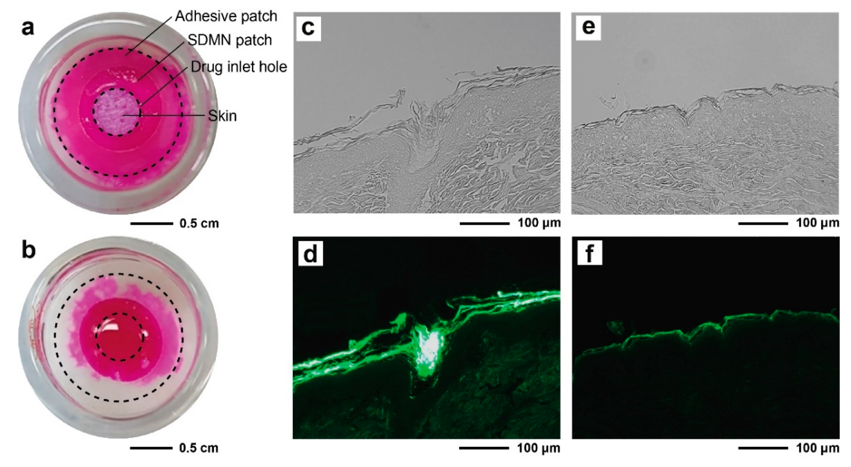 Polymers 12 01873 g004 Polymers 12 01873 g004