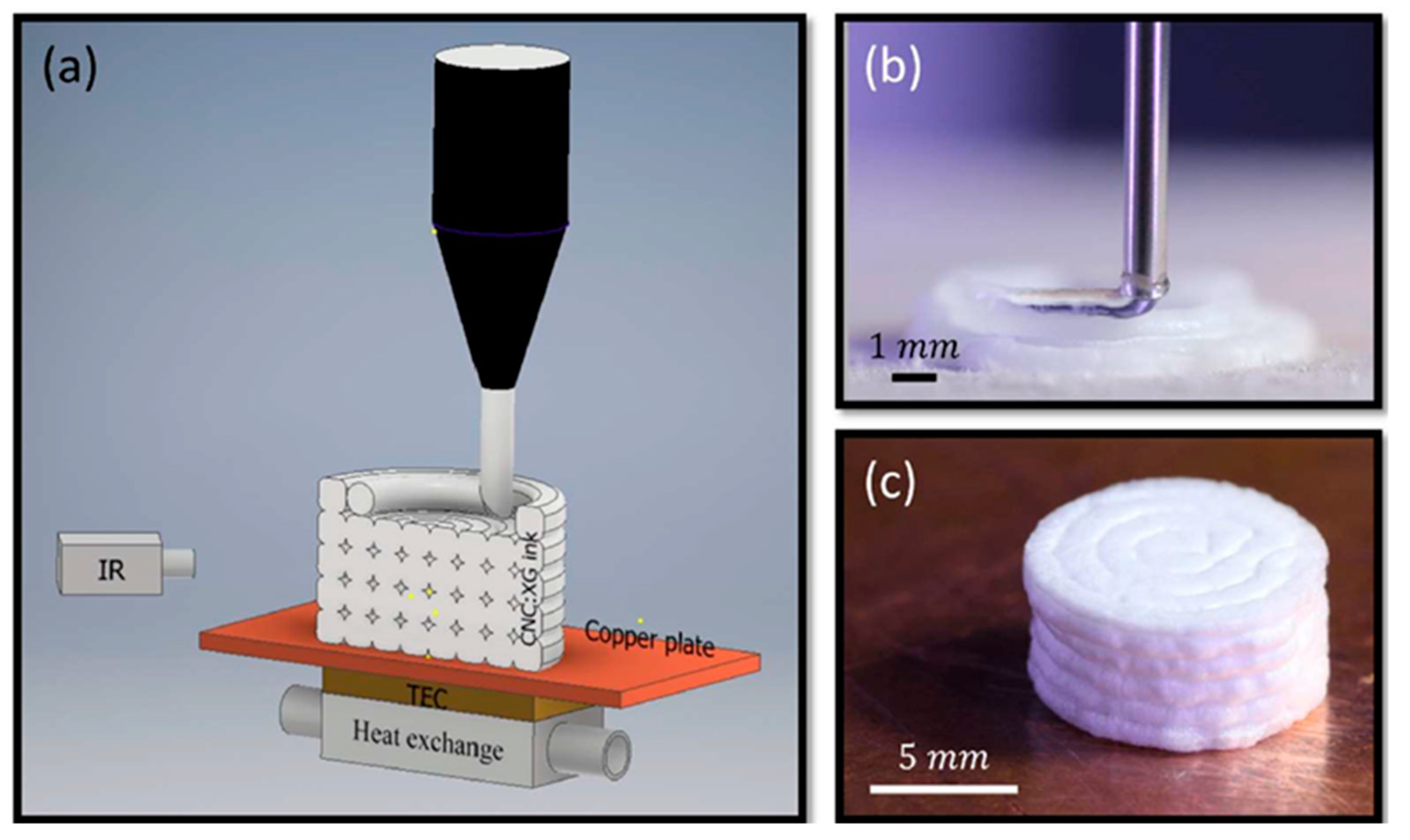 Polymers 12 01876 g008 Polymers 12 01876 g008