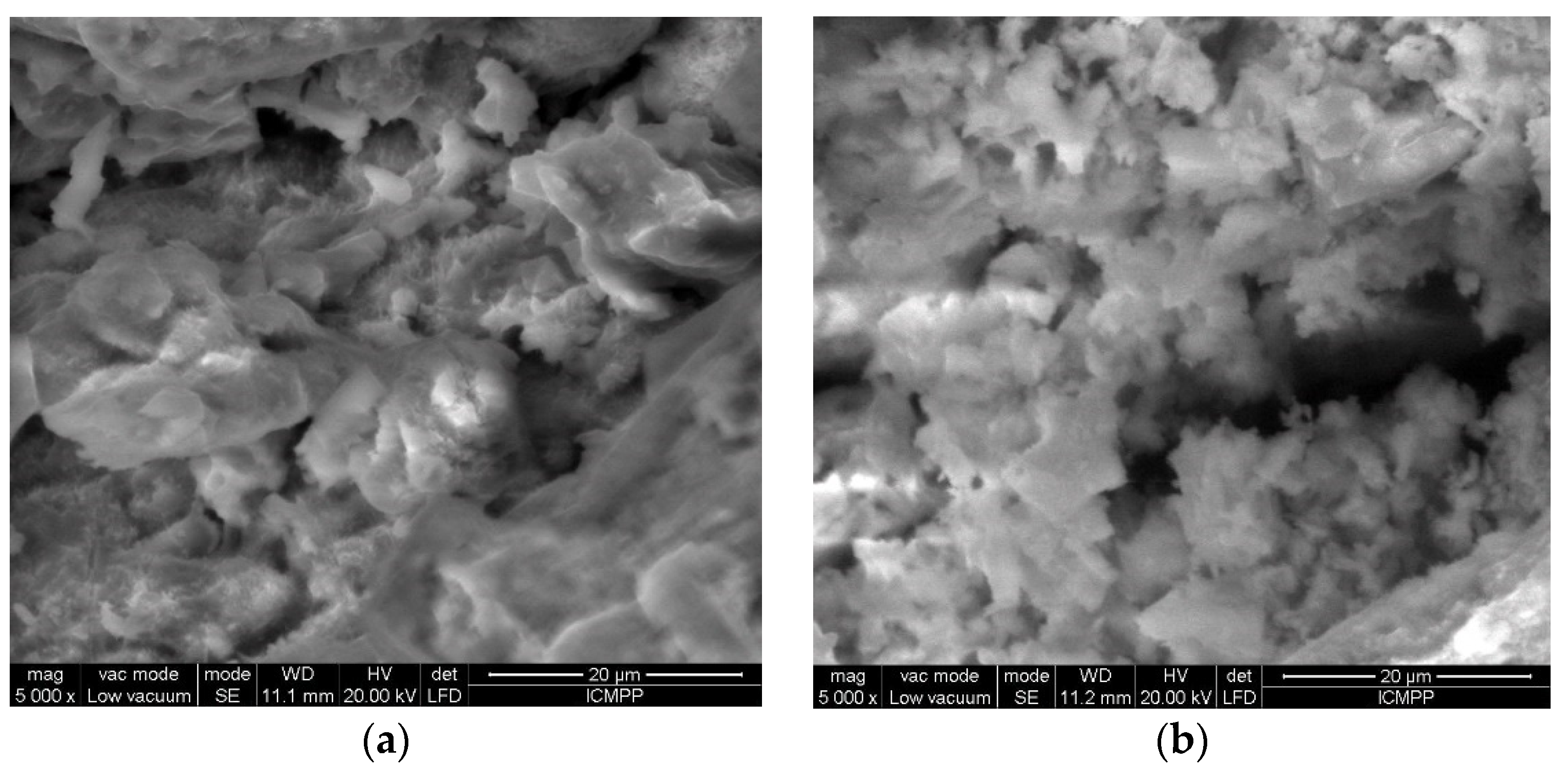 Polymers 12 01888 g006a Polymers 12 01888 g006a