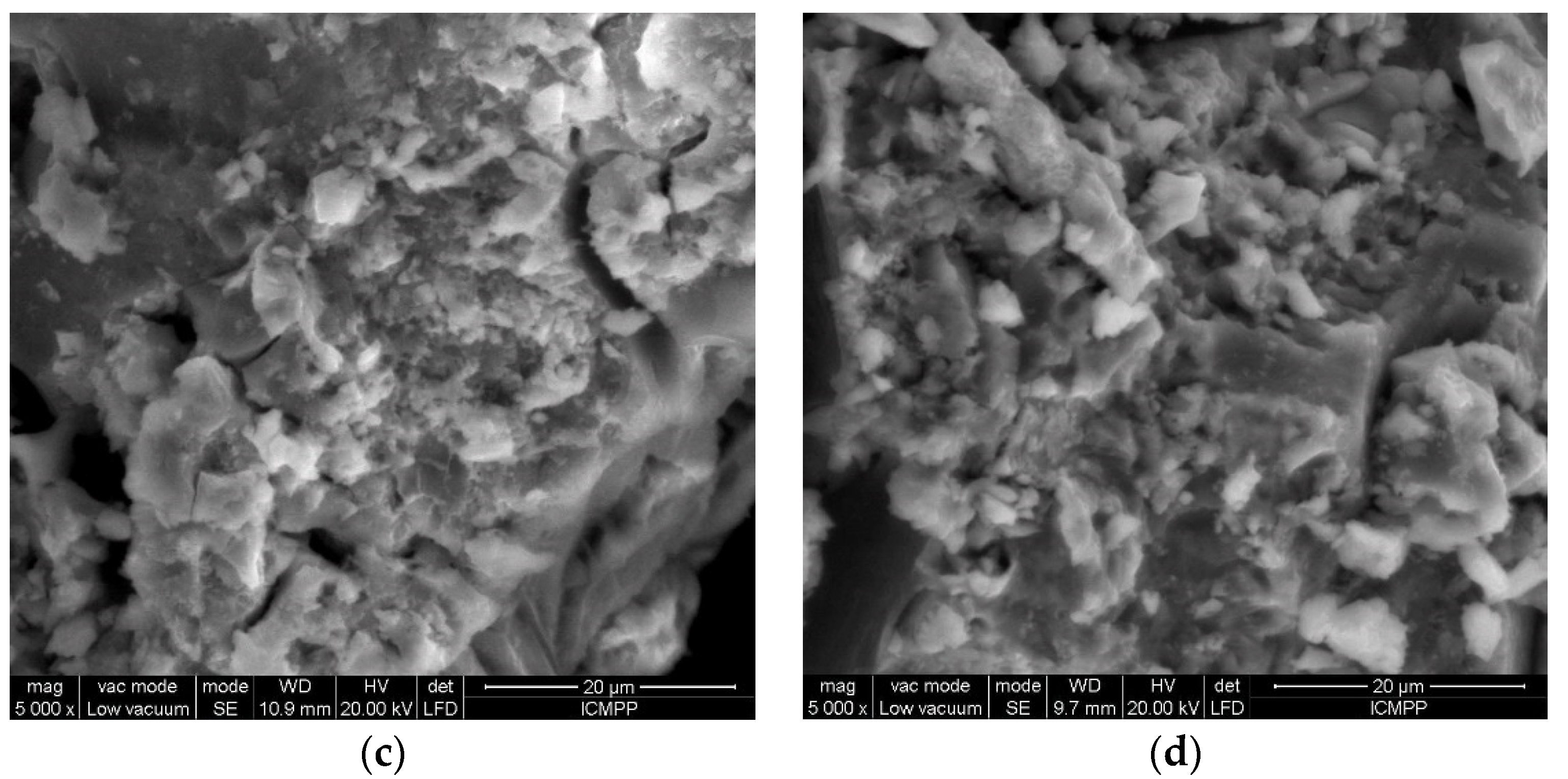Polymers 12 01888 g006b Polymers 12 01888 g006b