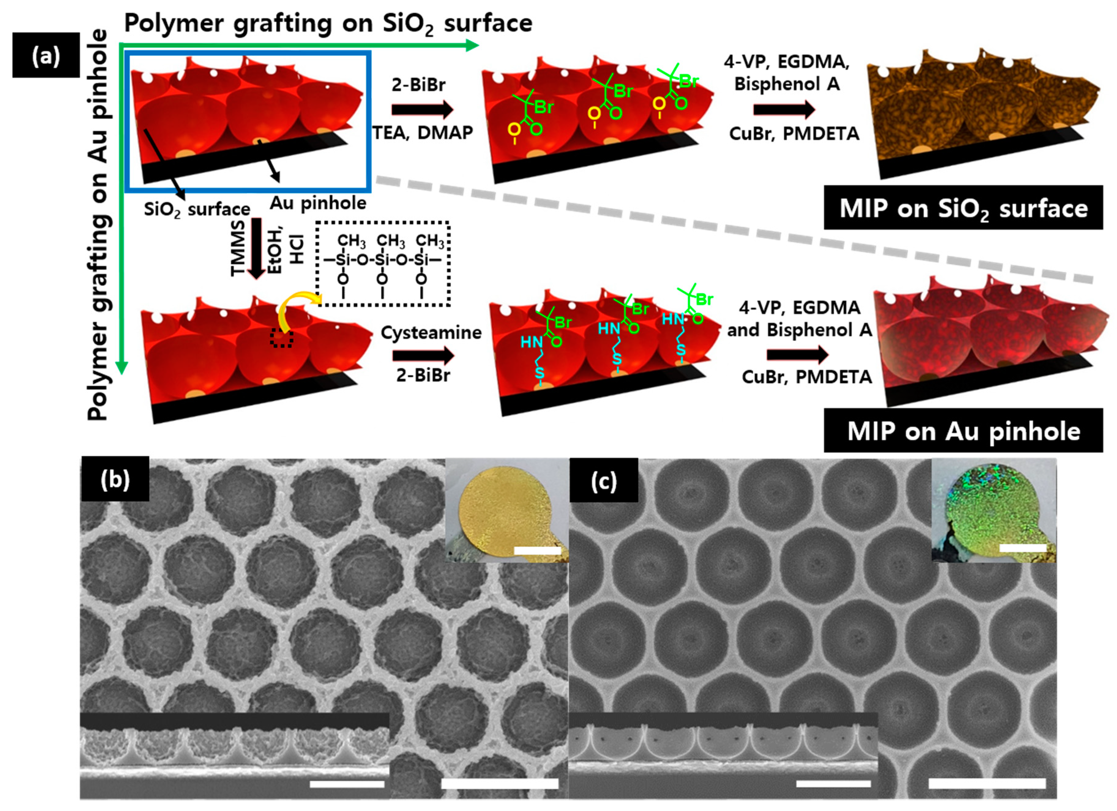 Polymers 12 01892 g001 Polymers 12 01892 g001
