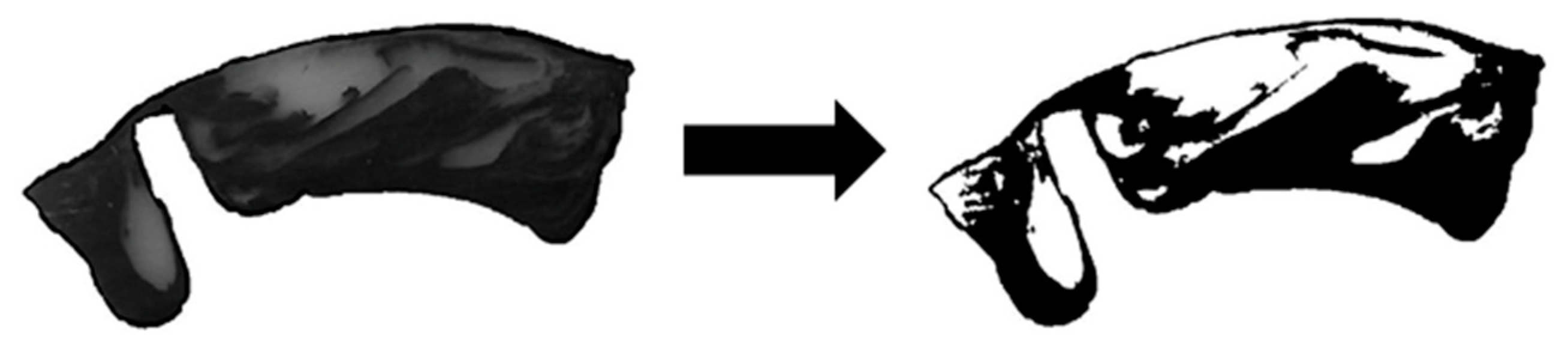 Polymers 12 01900 g004