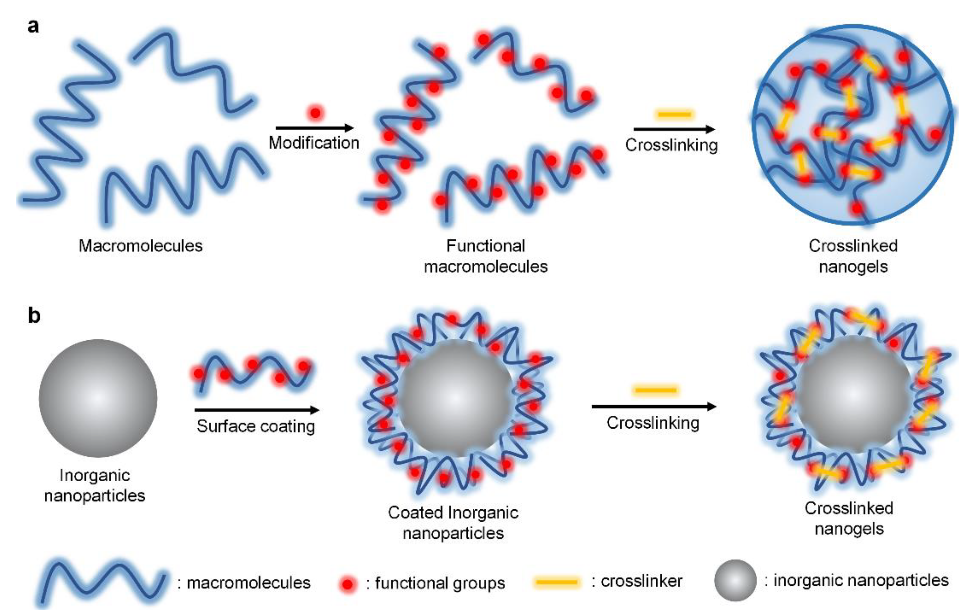 Polymers 12 01902 g001 Polymers 12 01902 g001