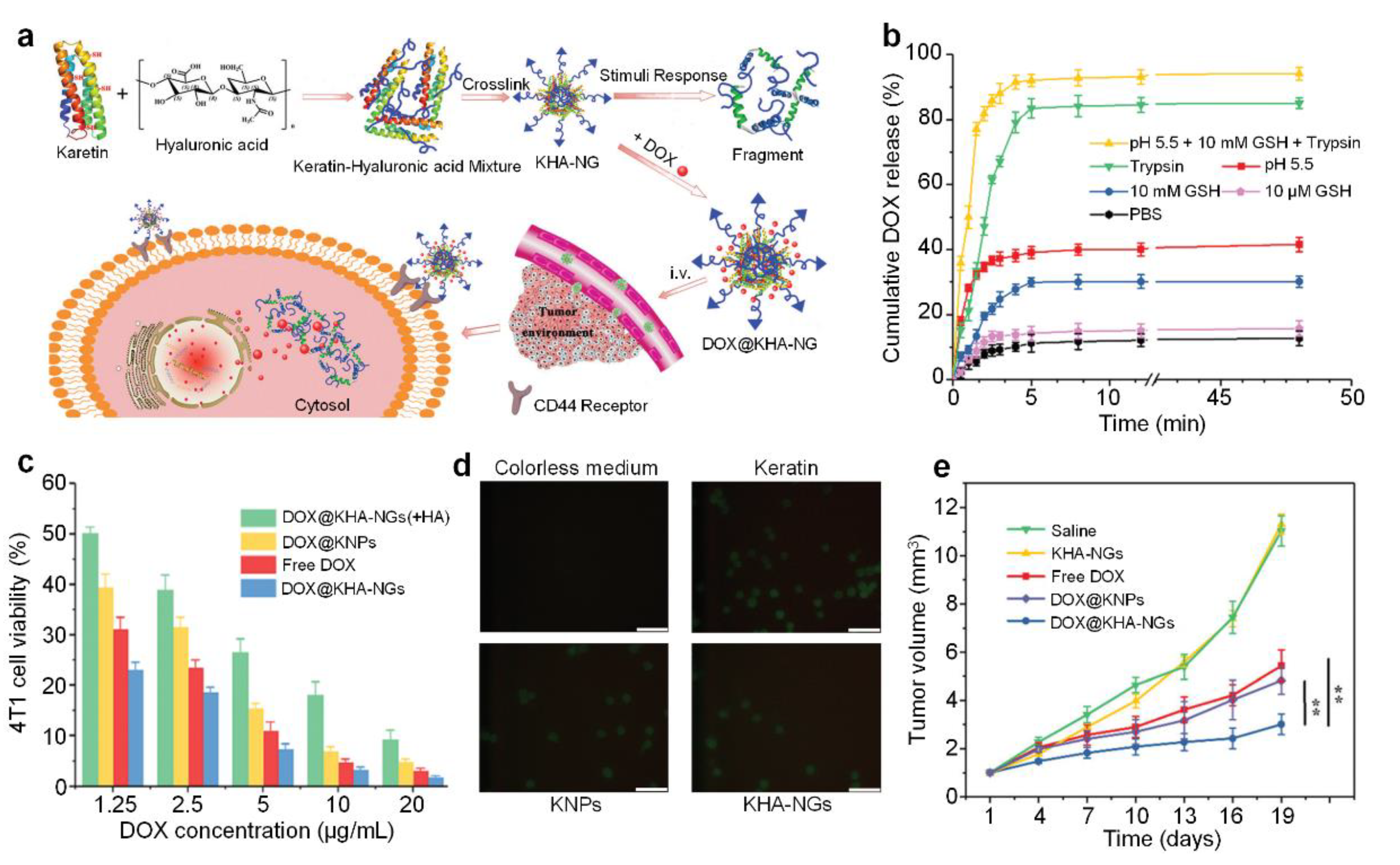 Polymers 12 01902 g002 Polymers 12 01902 g002