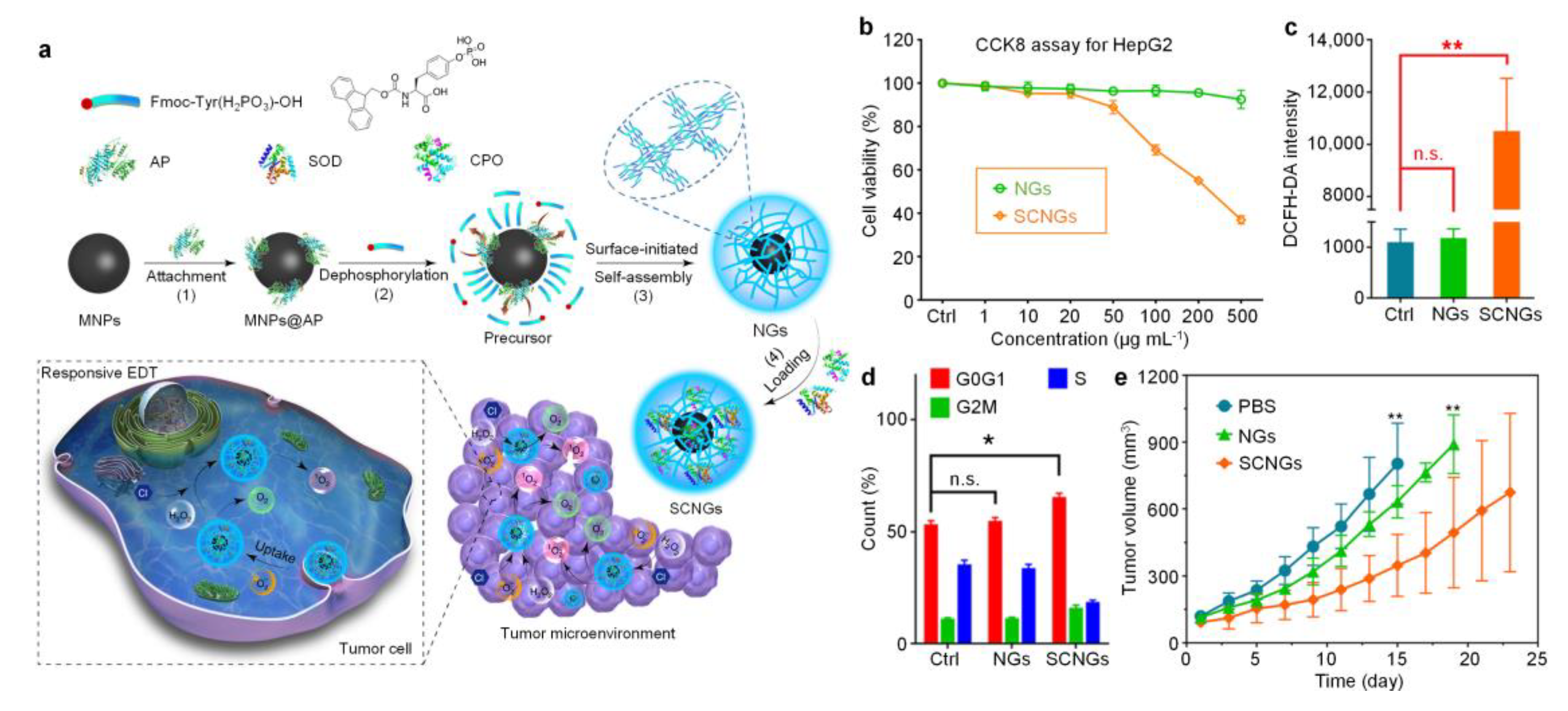 Polymers 12 01902 g006 Polymers 12 01902 g006