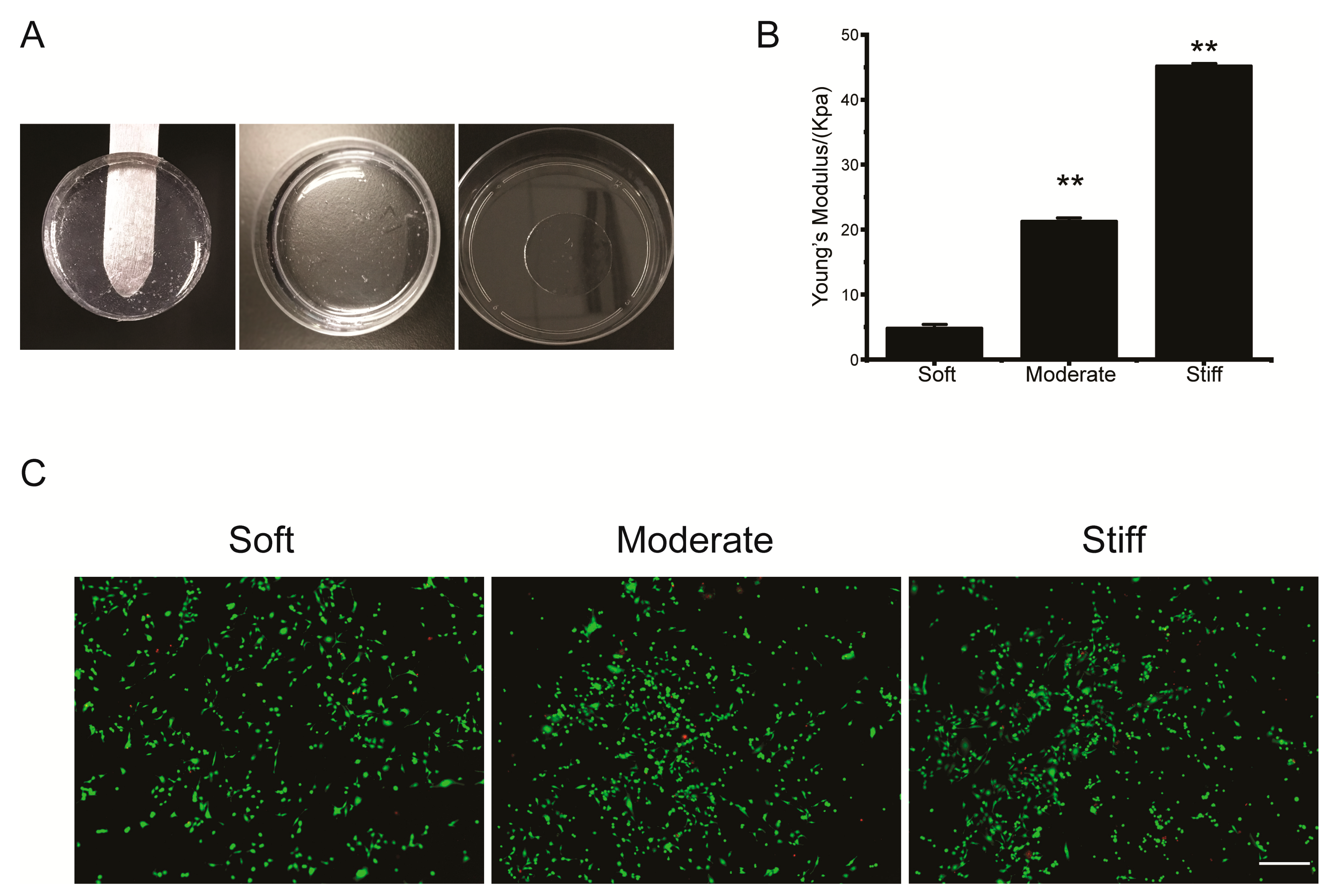 Polymers 12 01903 g001