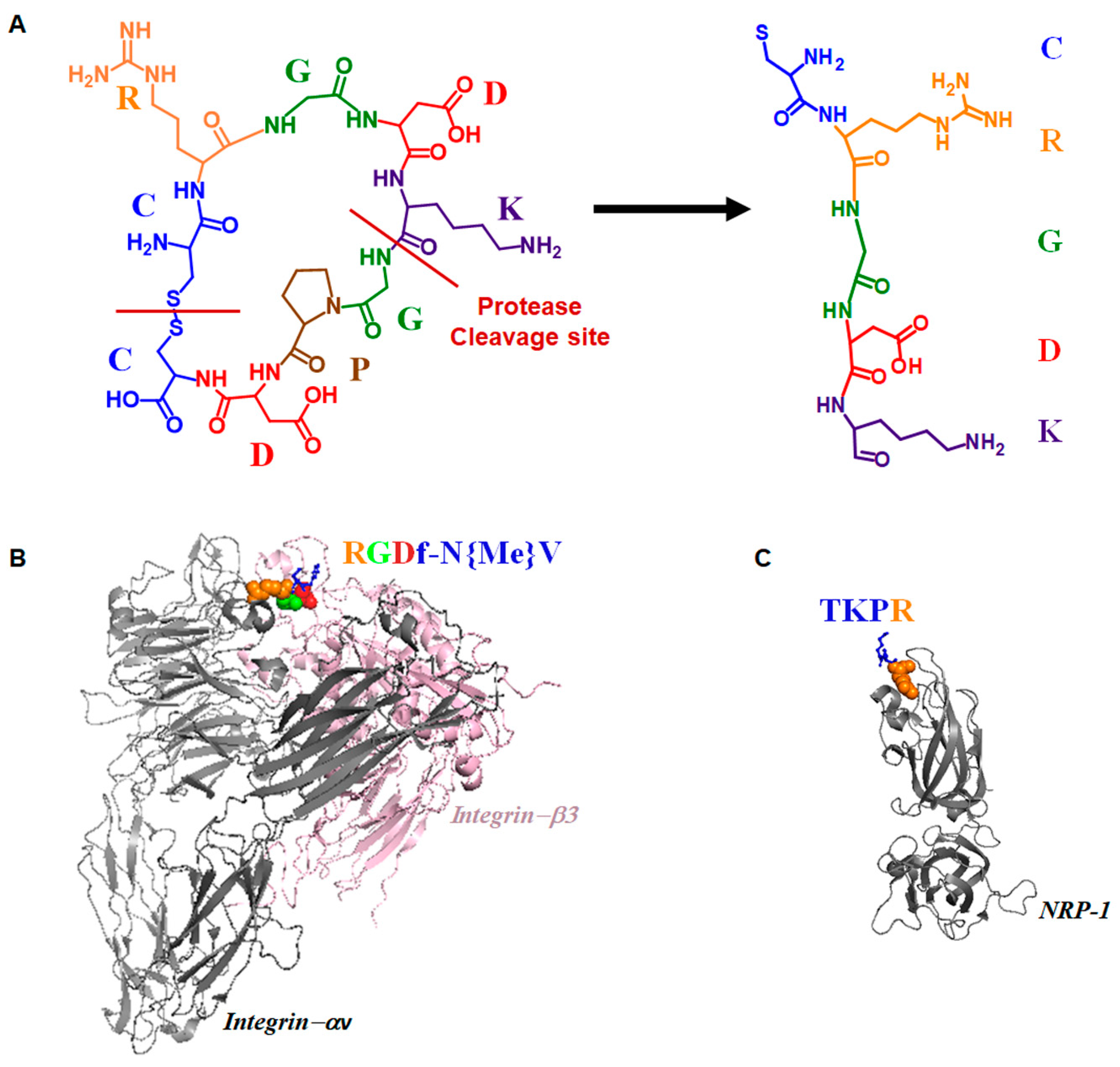 Polymers 12 01906 g001 Polymers 12 01906 g001
