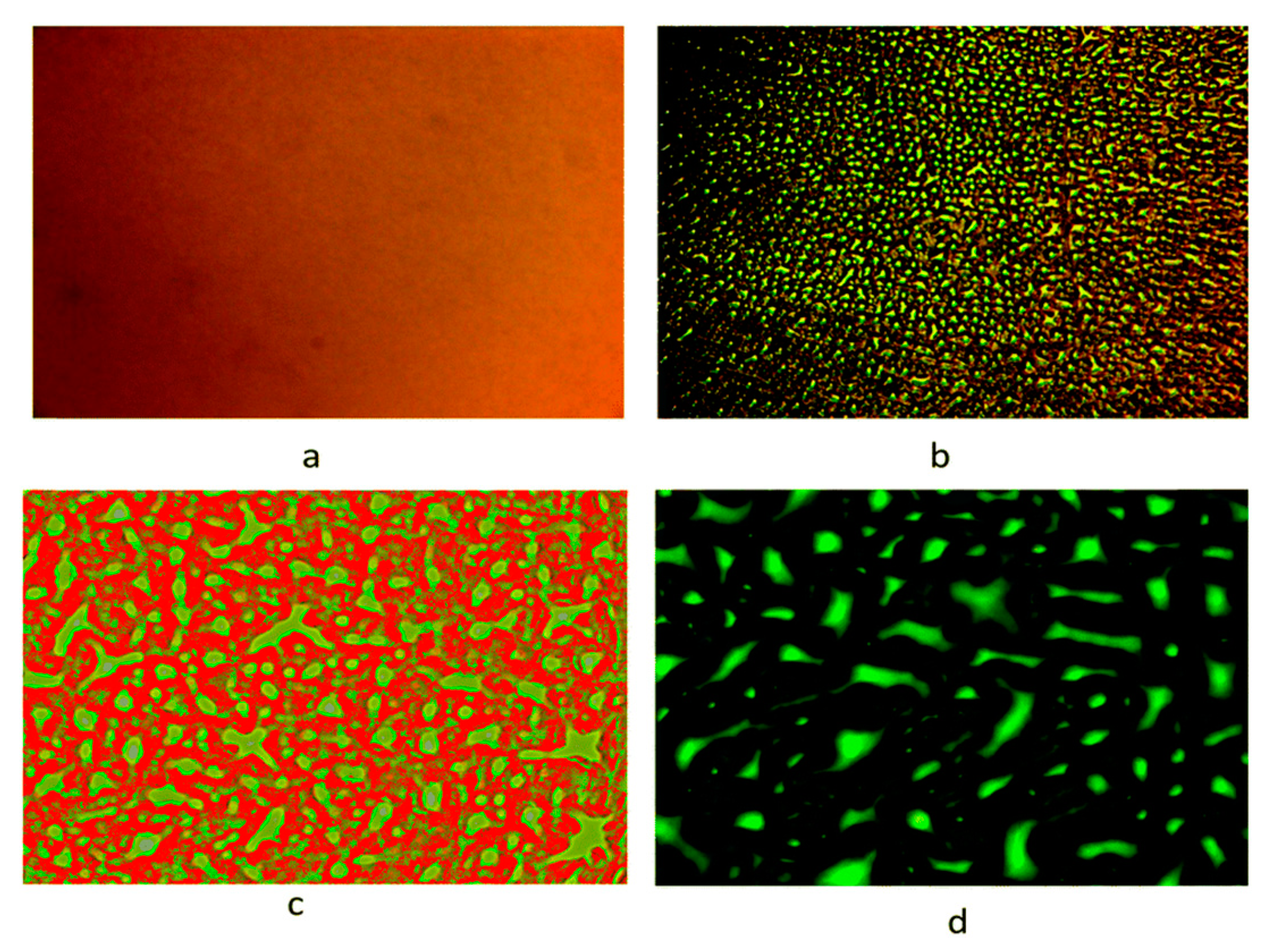 Polymers 12 01908 g002 Polymers 12 01908 g002