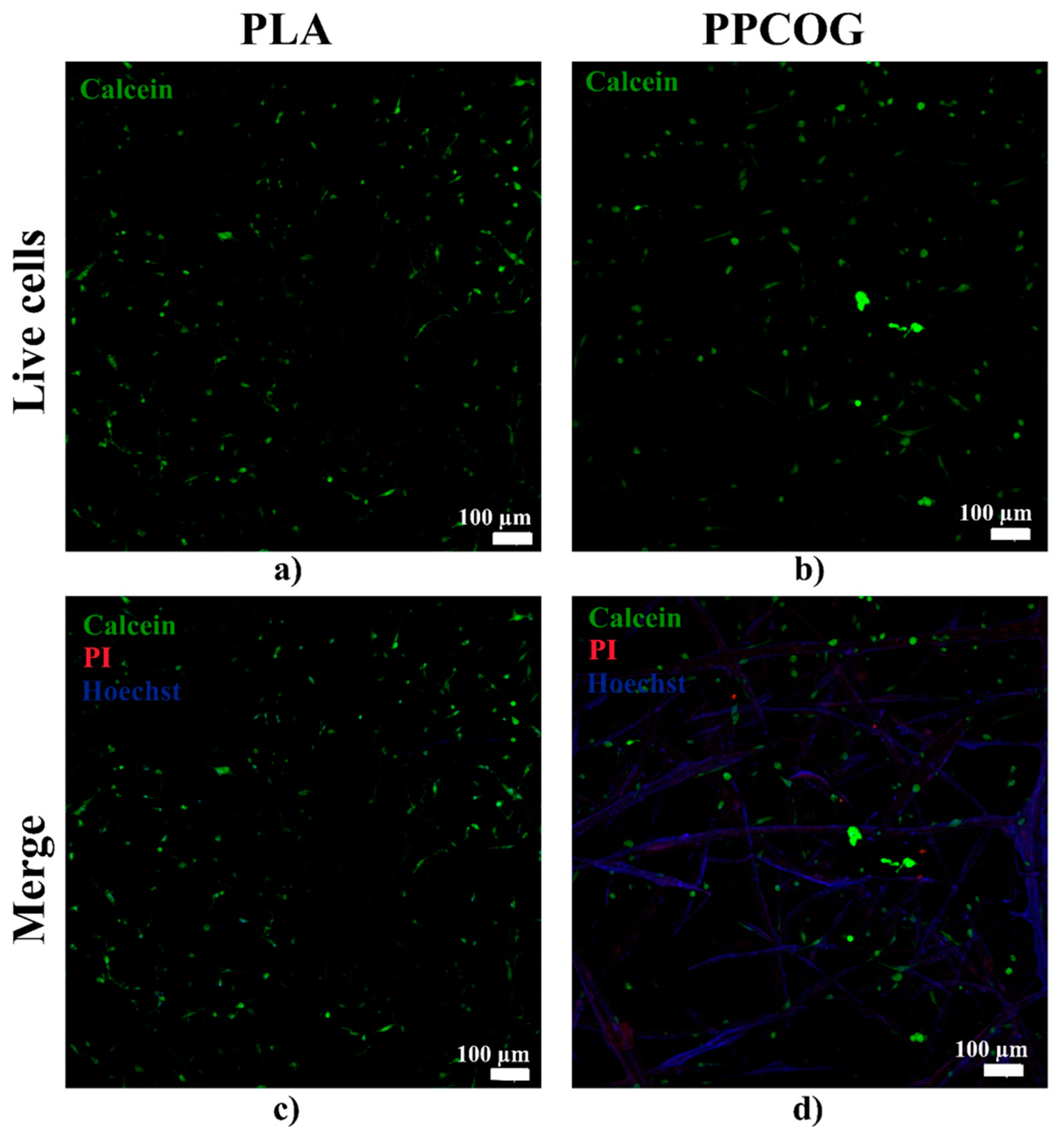 Polymers 12 01911 g009a Polymers 12 01911 g009a