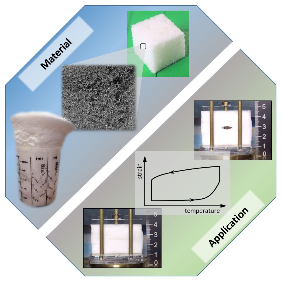 Polymers Free FullText Shape Memory Polymer Foam with Programmable