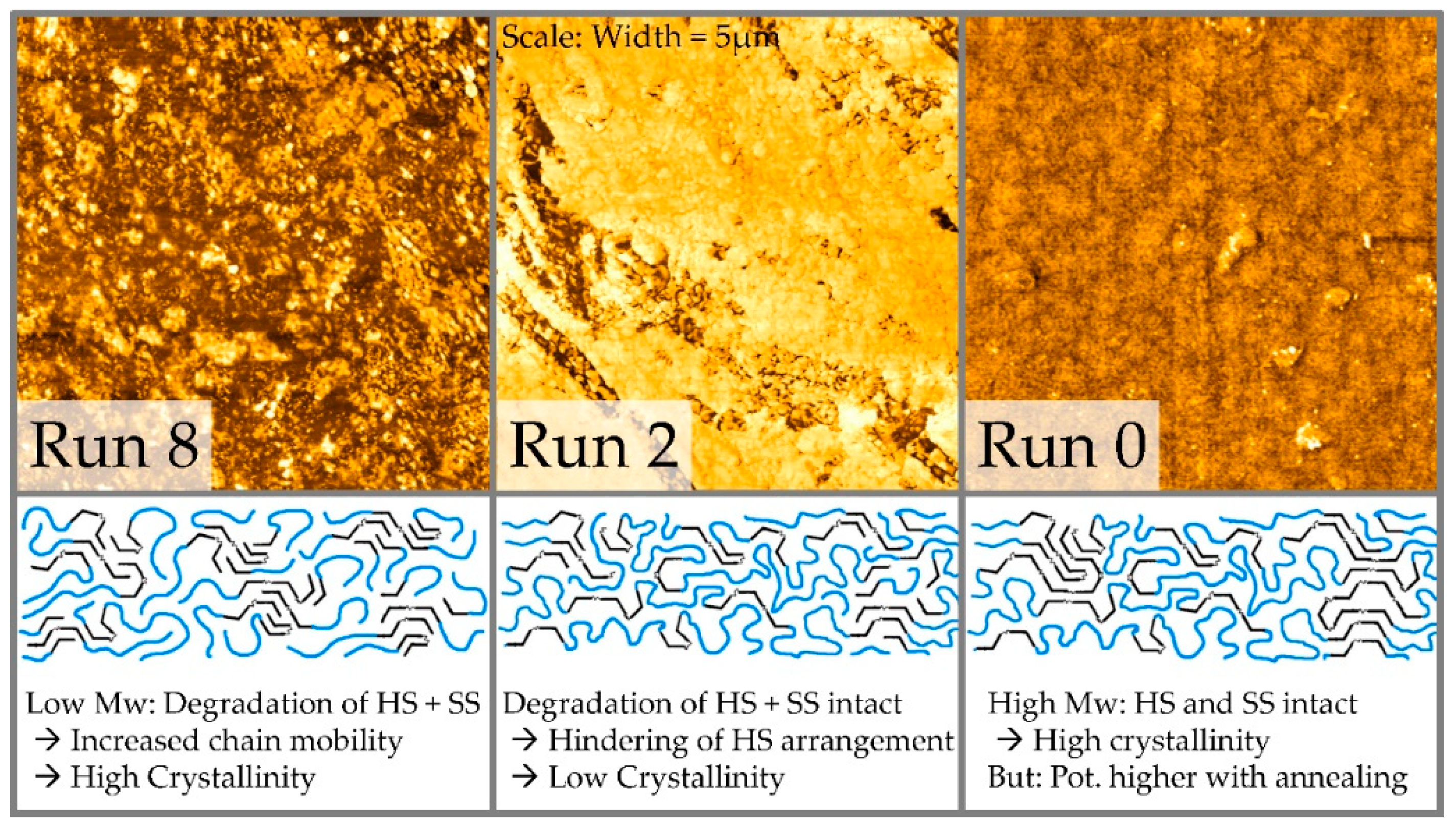 Polymers 12 01917 g007