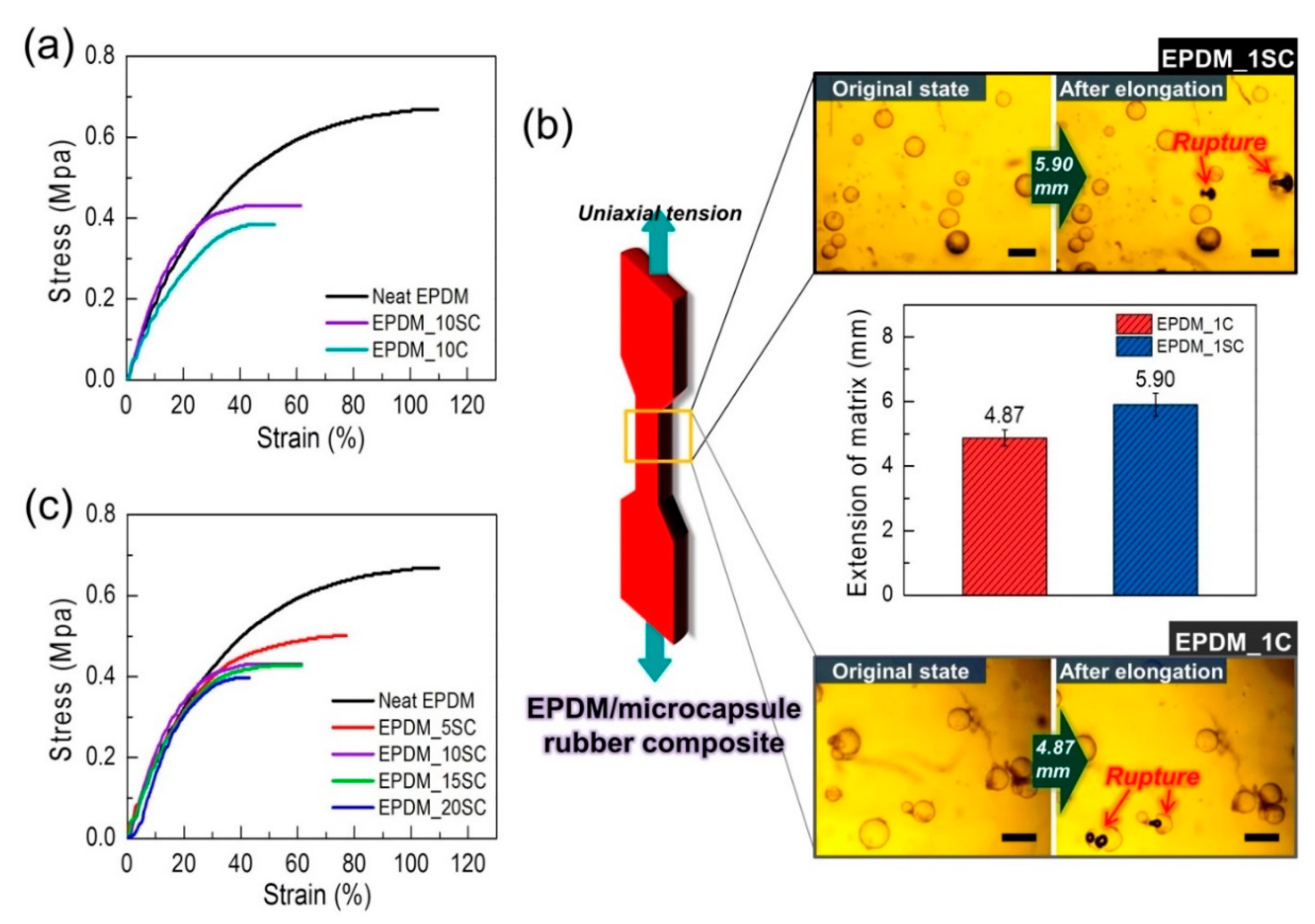 Polymers 12 01918 g006