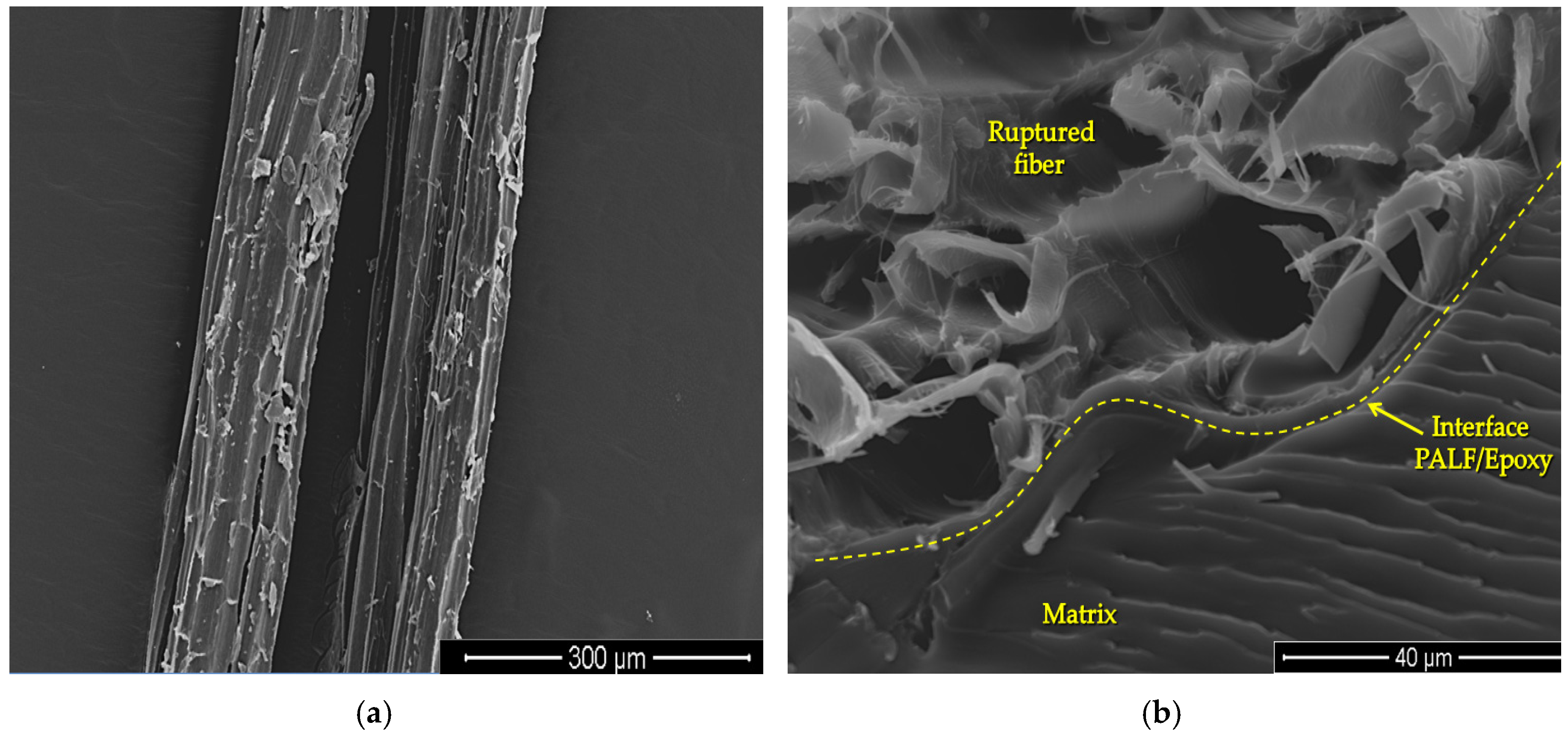 Polymers 12 01920 g005 Polymers 12 01920 g005