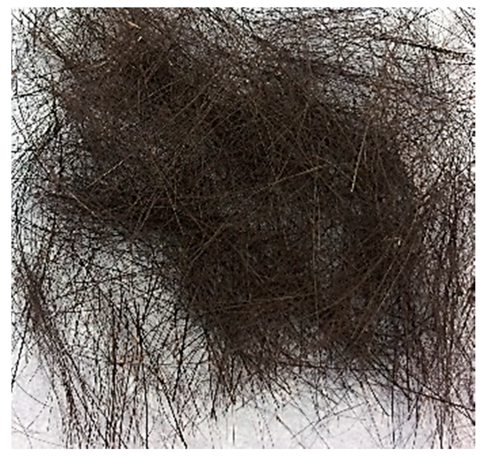 Polymers 12 01923 g001