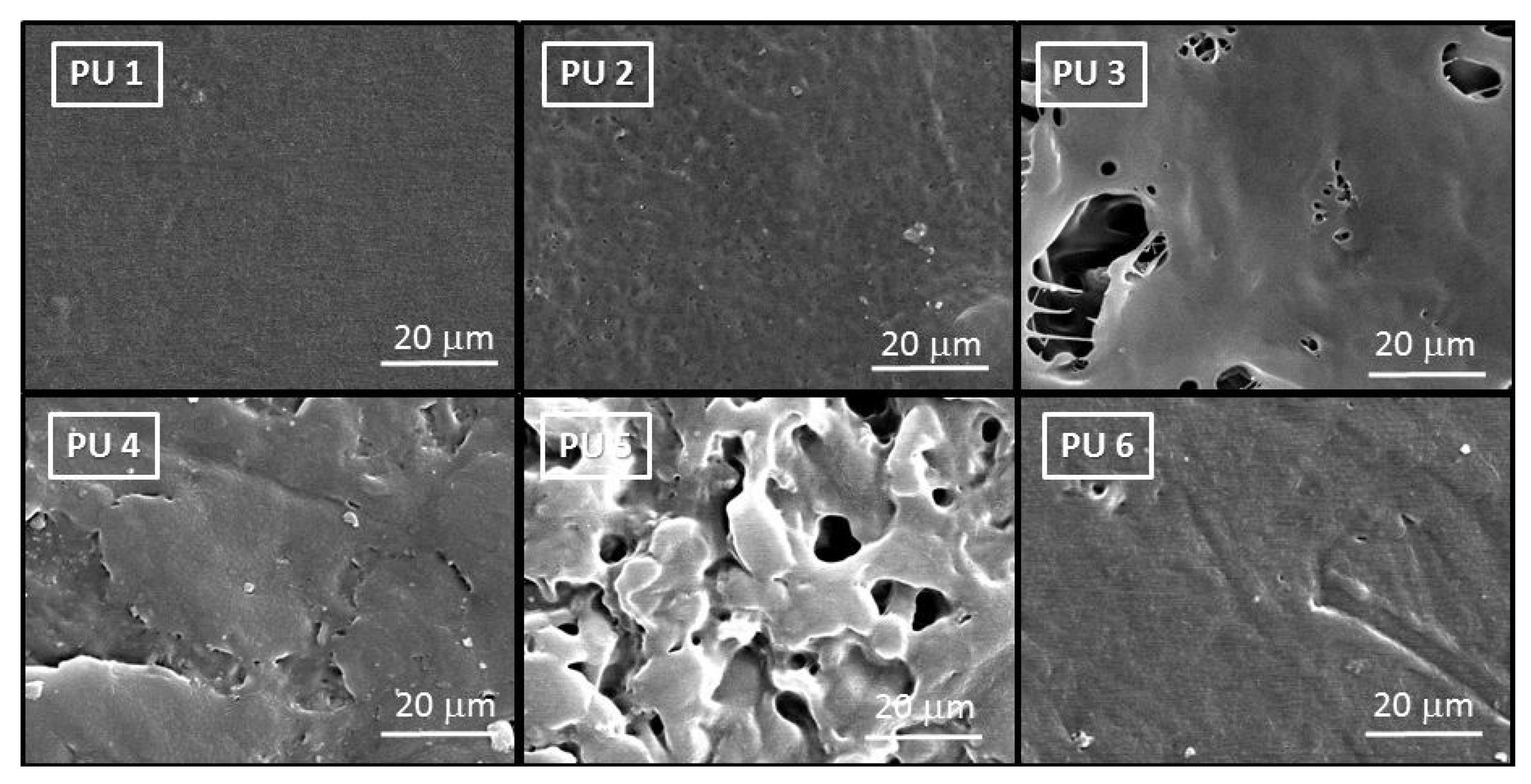 Polymers 12 01928 g004 Polymers 12 01928 g004