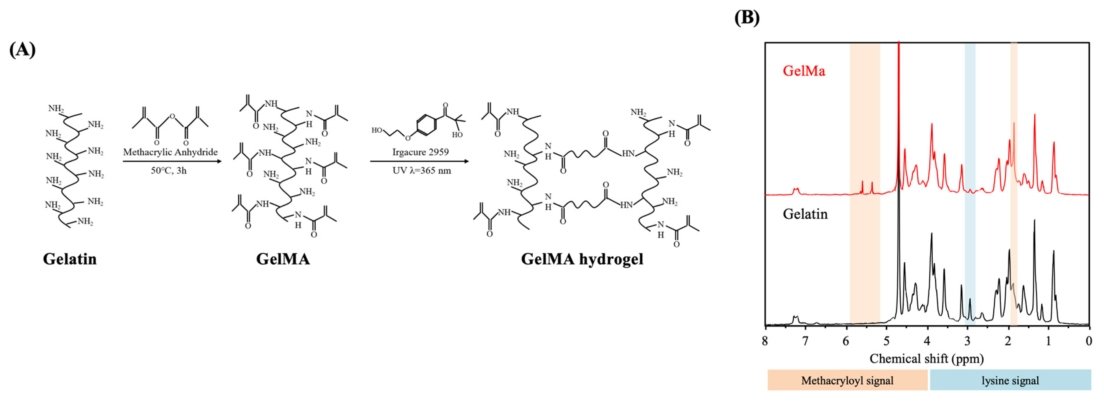Polymers 12 01930 g001
