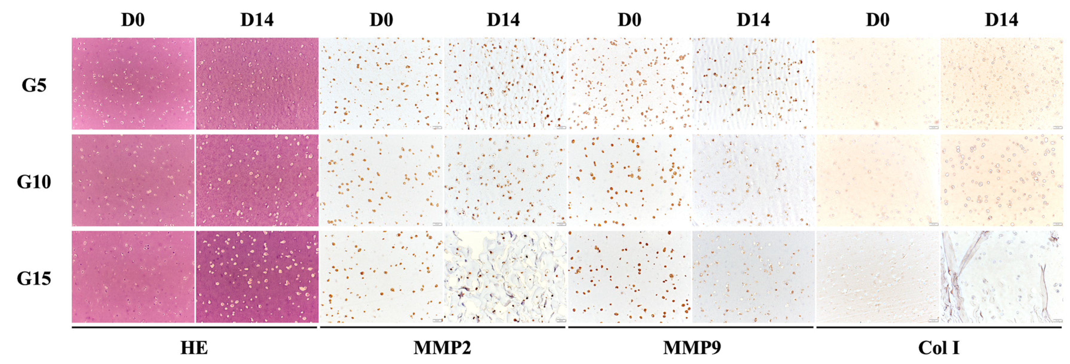 Polymers 12 01930 g008