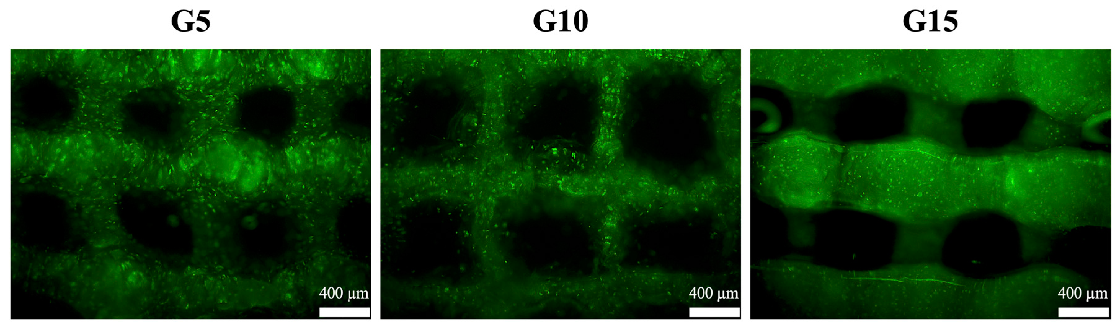 Polymers 12 01930 g010