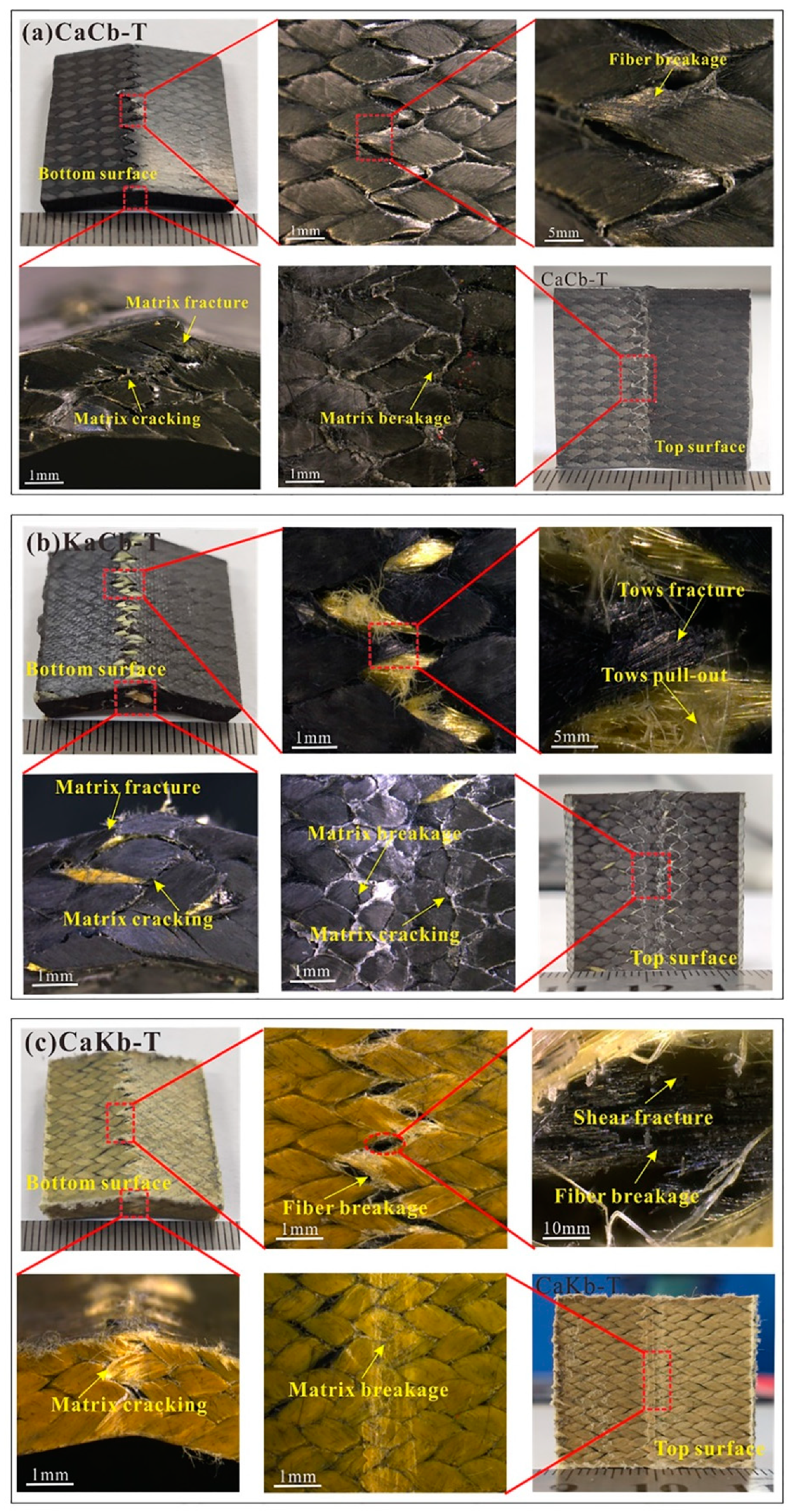 Polymers 12 01931 g005 Polymers 12 01931 g005