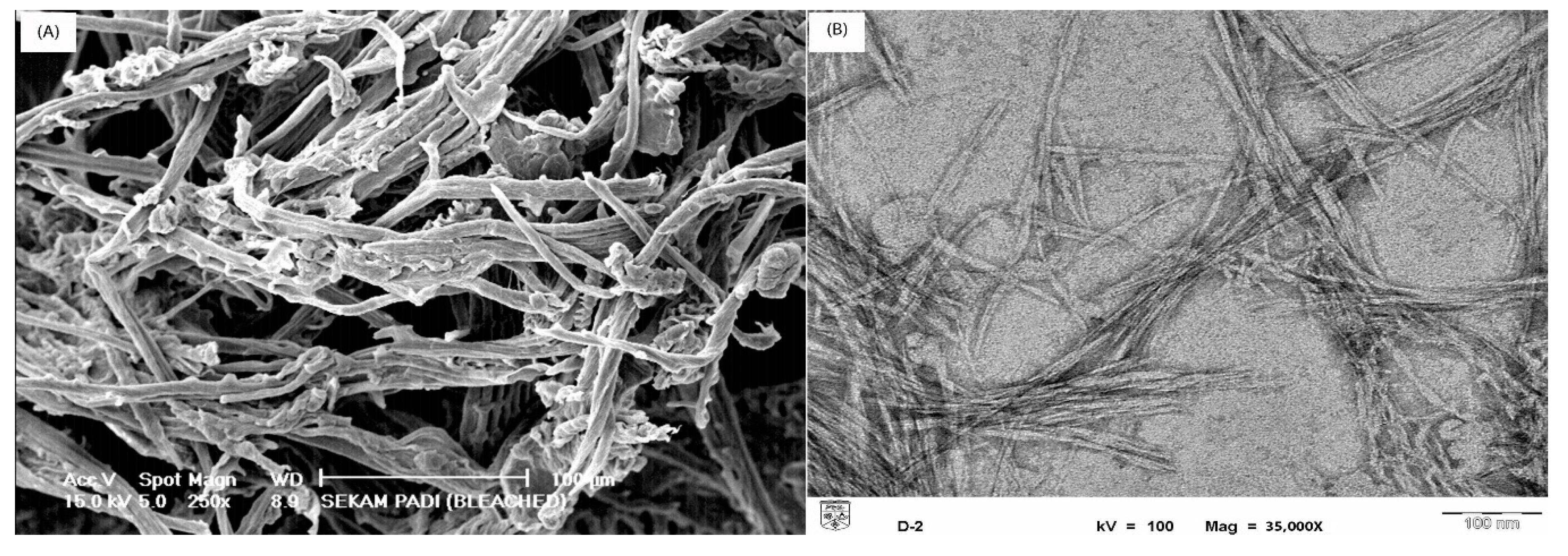 Polymers 12 01932 g002 Polymers 12 01932 g002