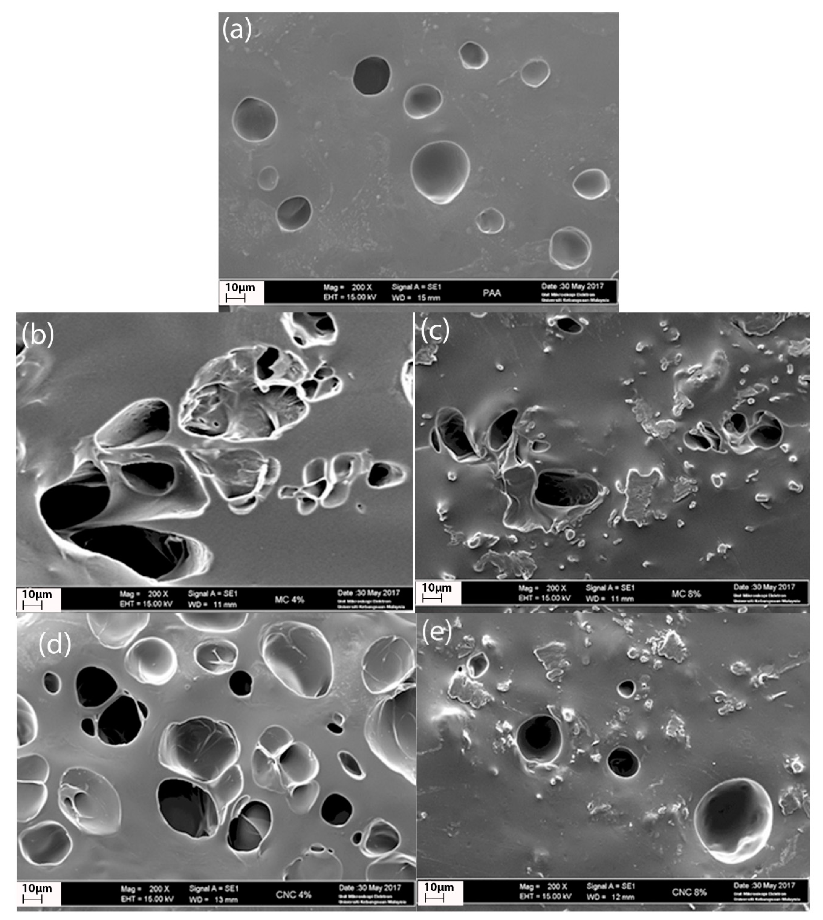 Polymers 12 01932 g009 Polymers 12 01932 g009
