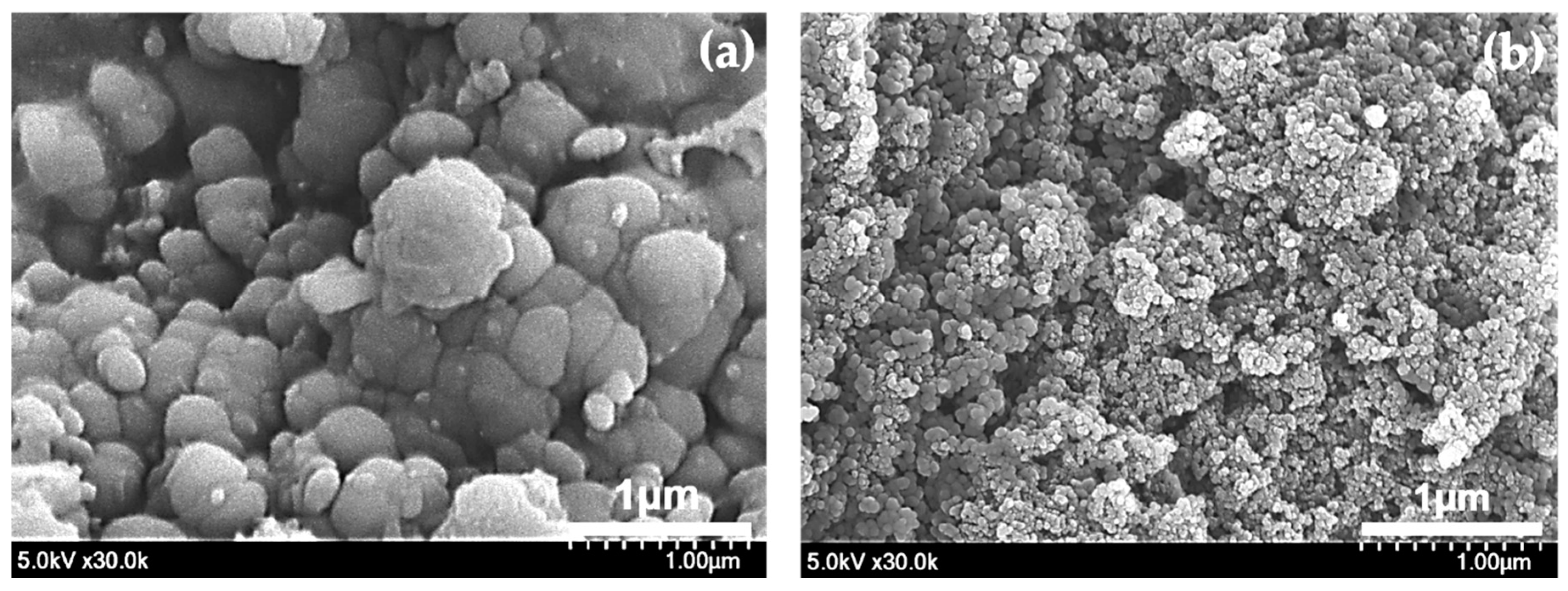Polymers 12 01939 g006