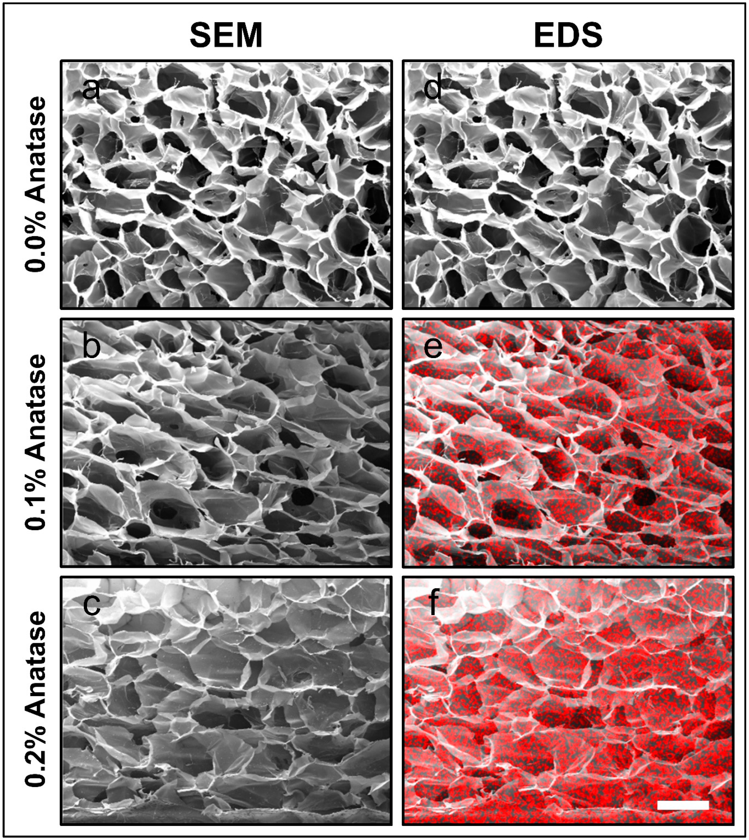 Polymers 12 01943 g001