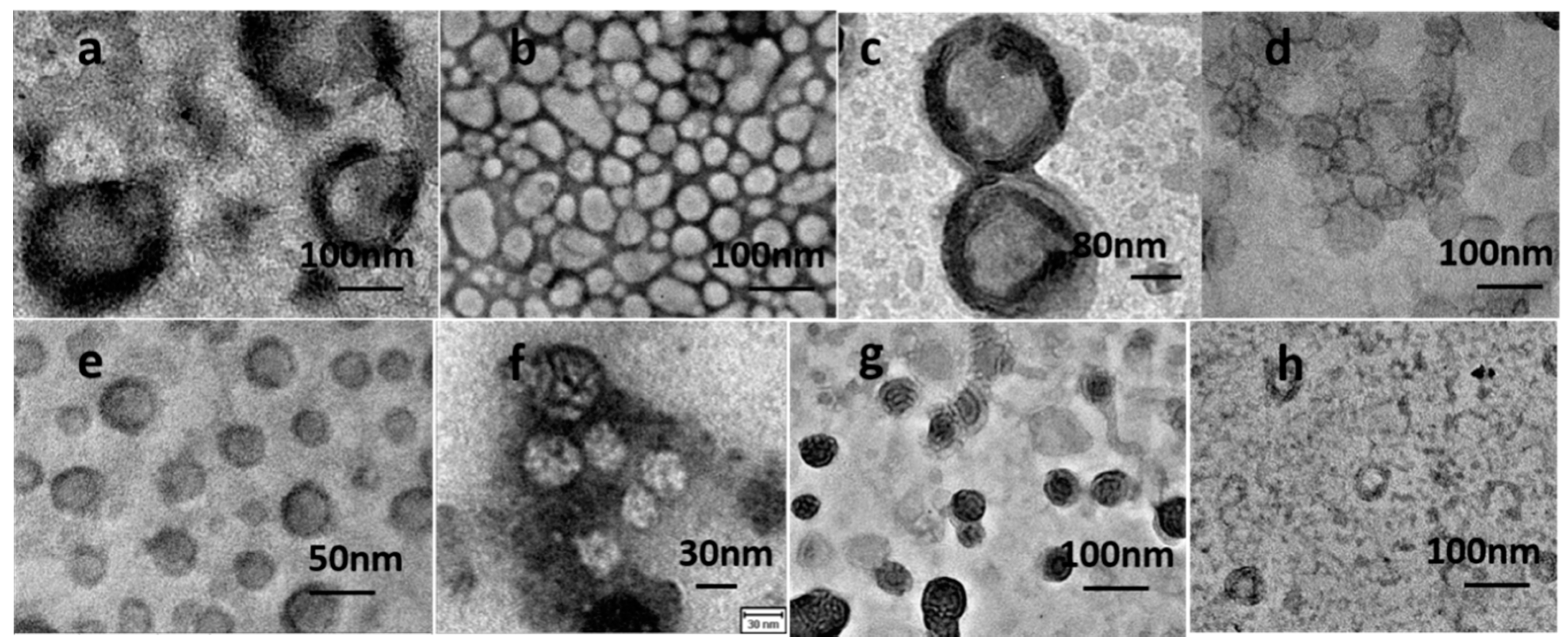 Polymers 12 01944 g001 Polymers 12 01944 g001