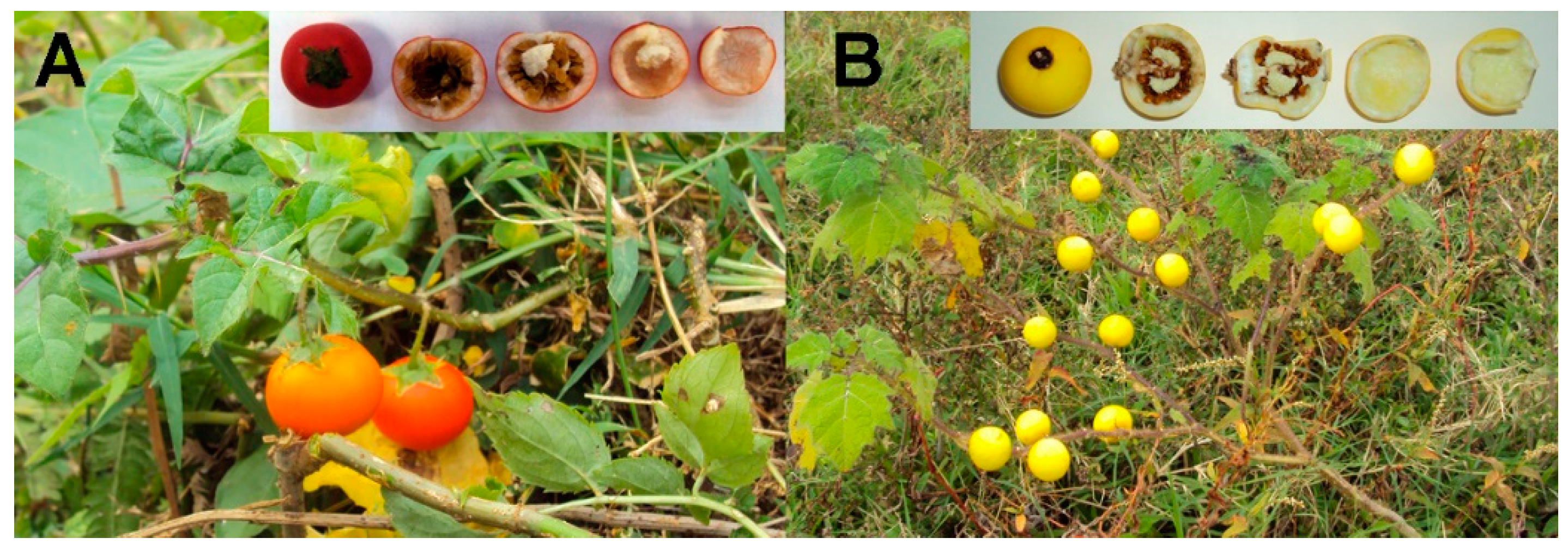 Polymers 12 01945 g001 Polymers 12 01945 g001