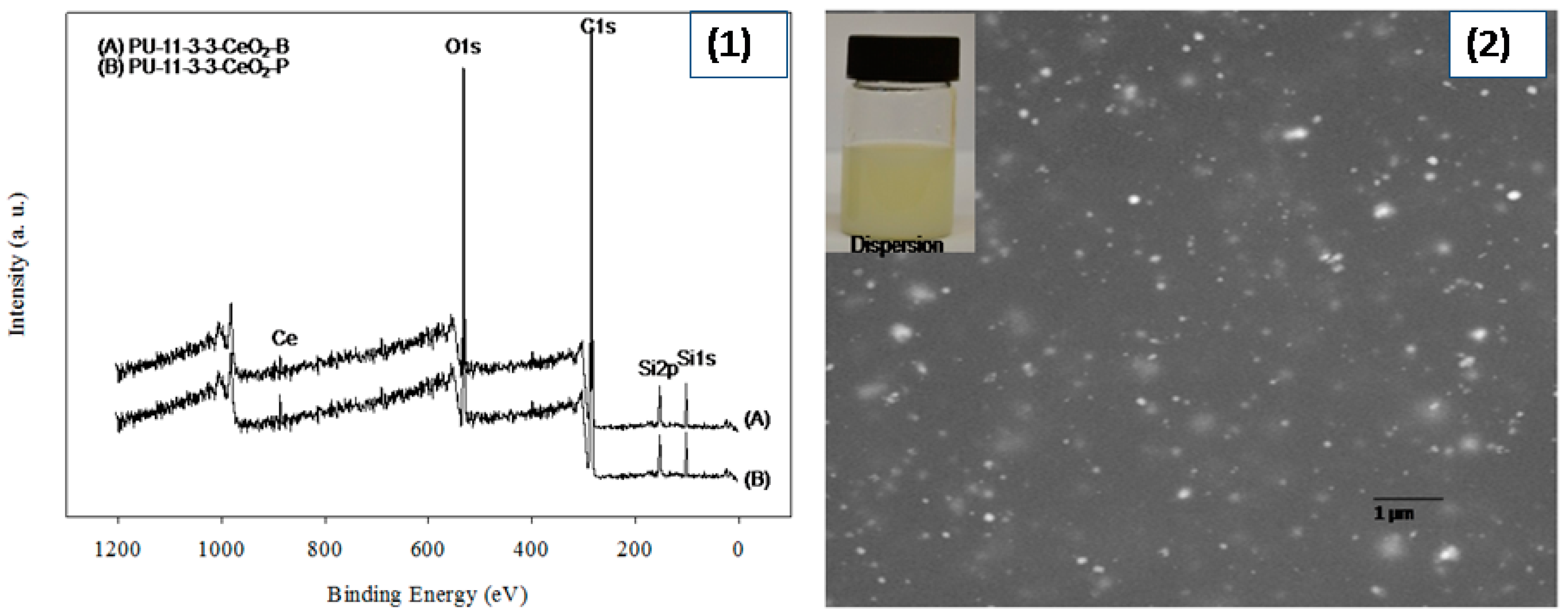 Polymers 12 01947 g002