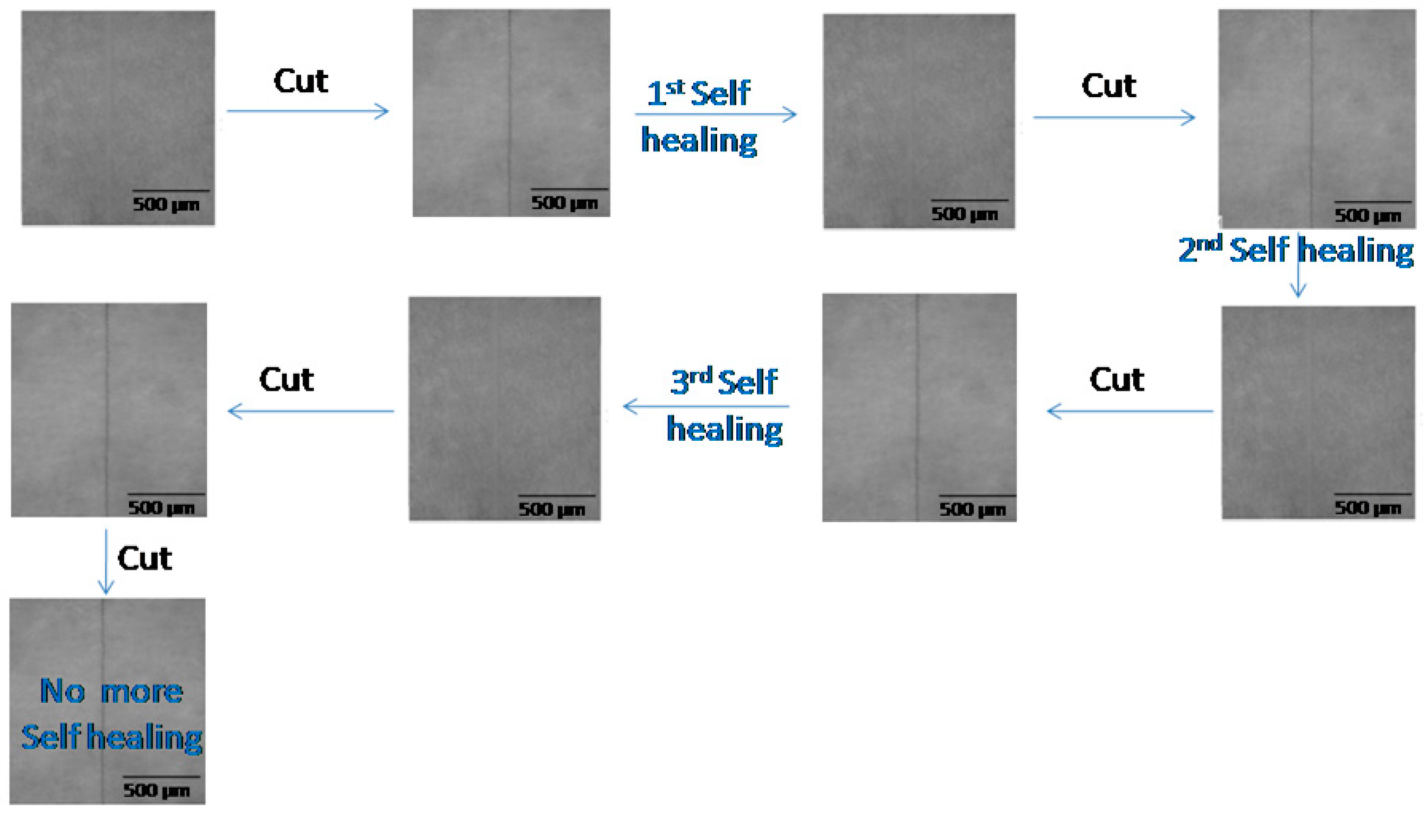 Polymers 12 01947 g003