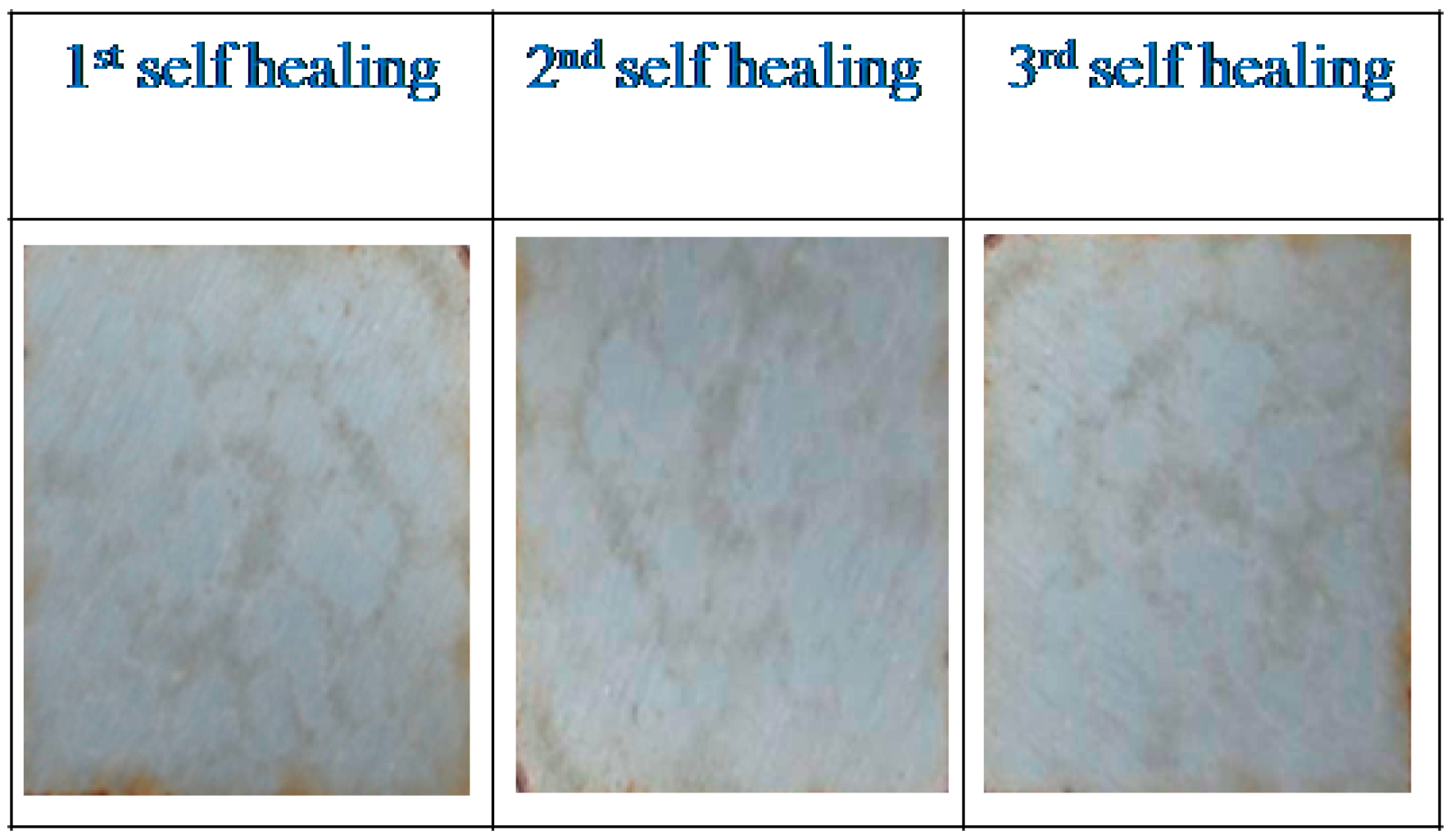 Polymers 12 01947 g004