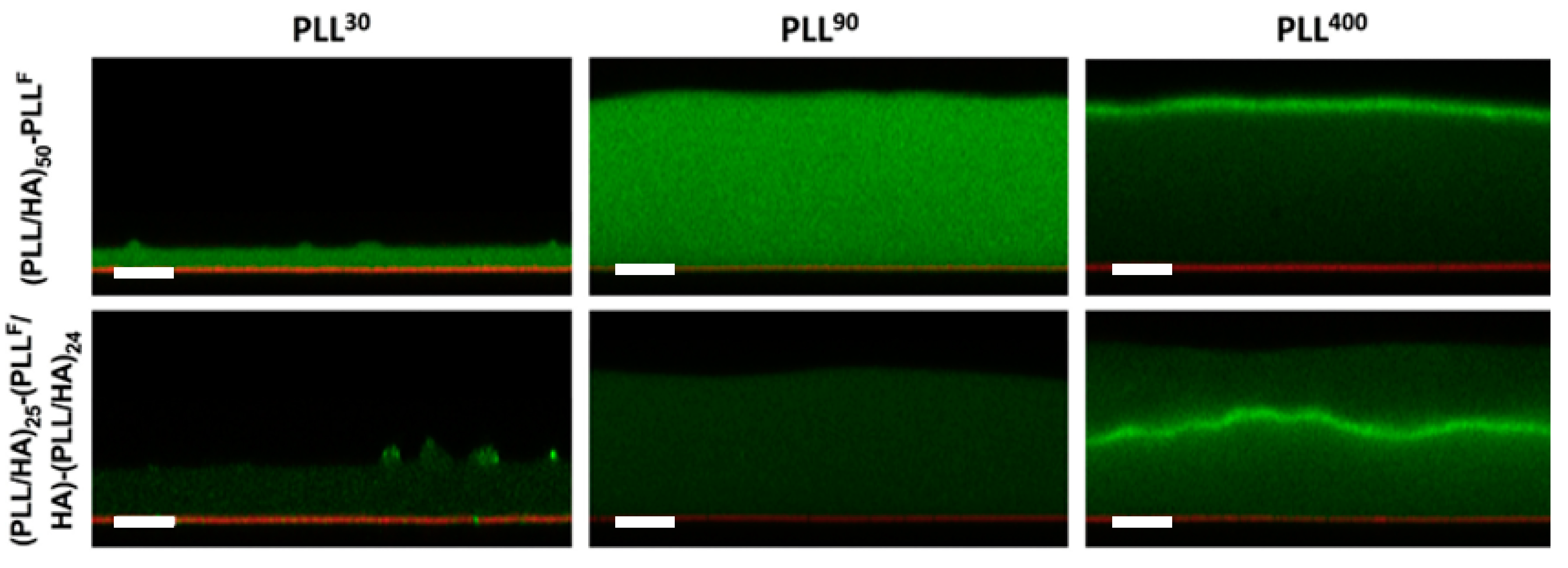 Polymers 12 01949 g005 Polymers 12 01949 g005