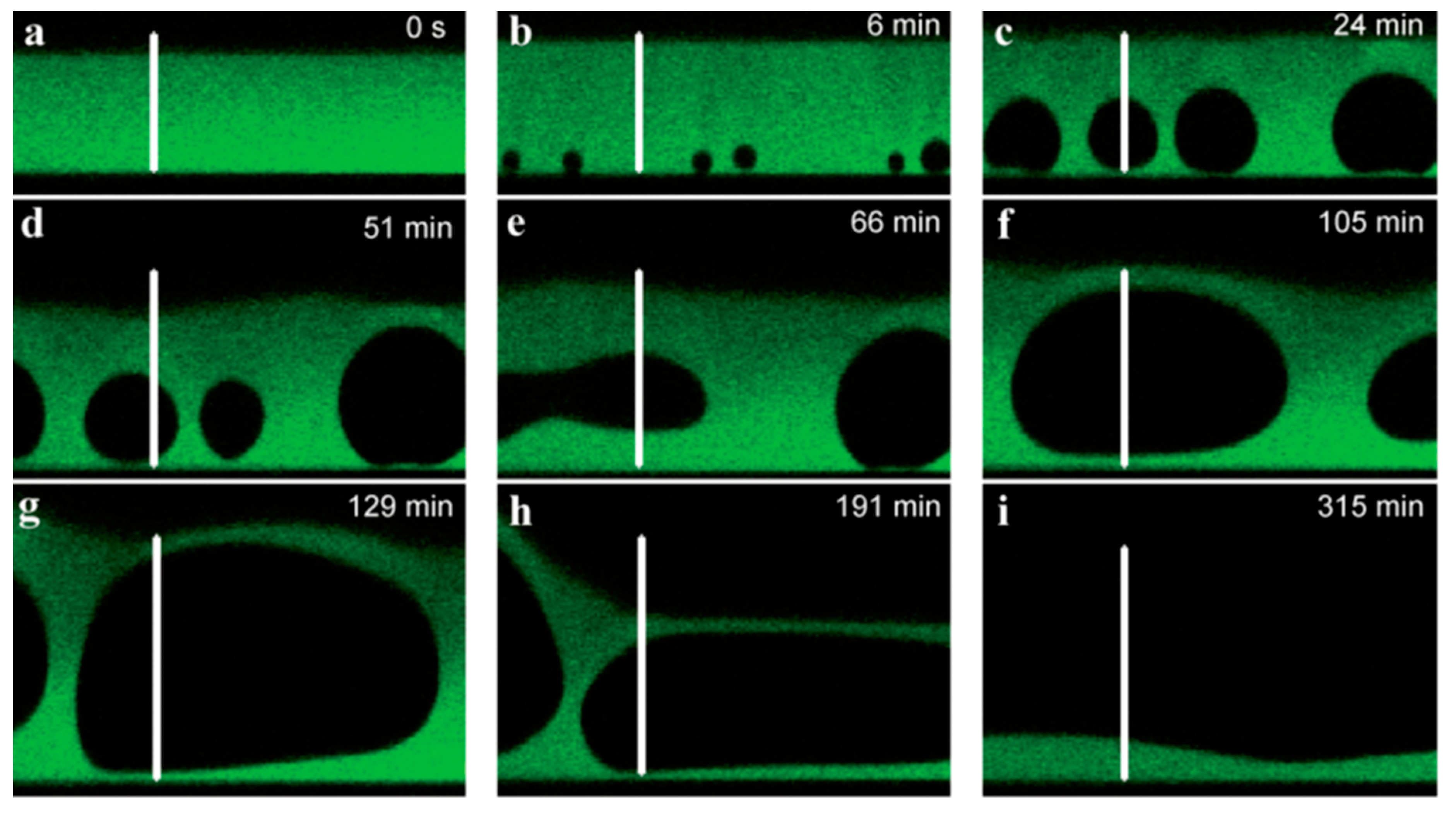 Polymers 12 01949 g014 Polymers 12 01949 g014