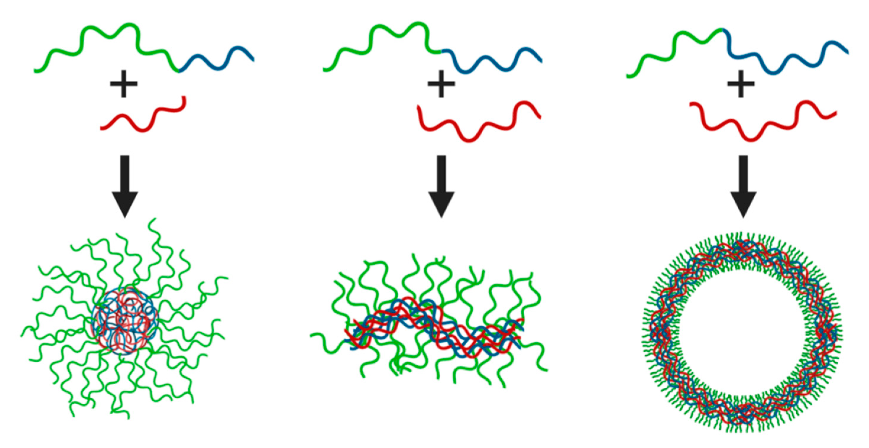 Polymers 12 01953 g002